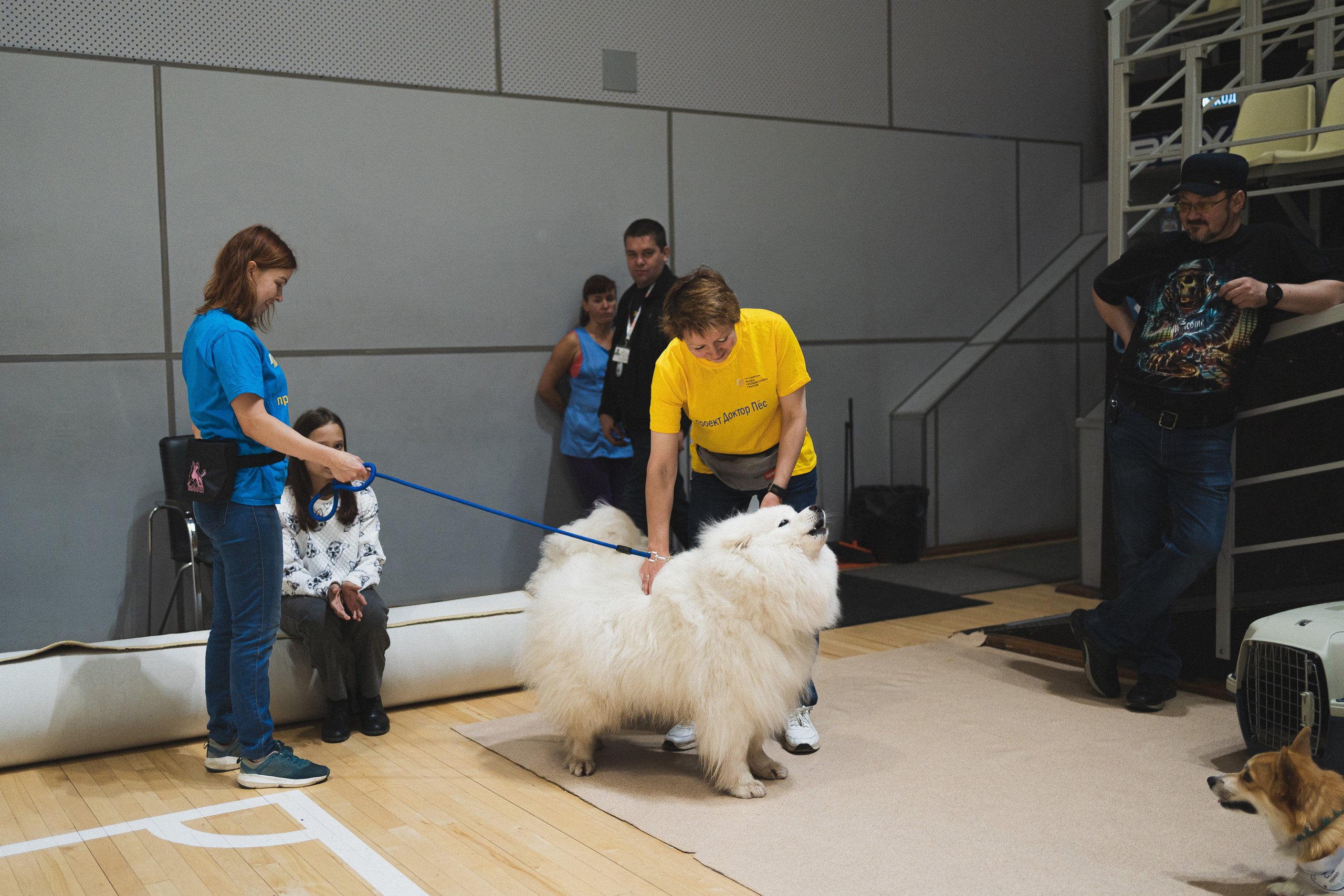 Семейный праздник «Доктор пес & компания» | 2022