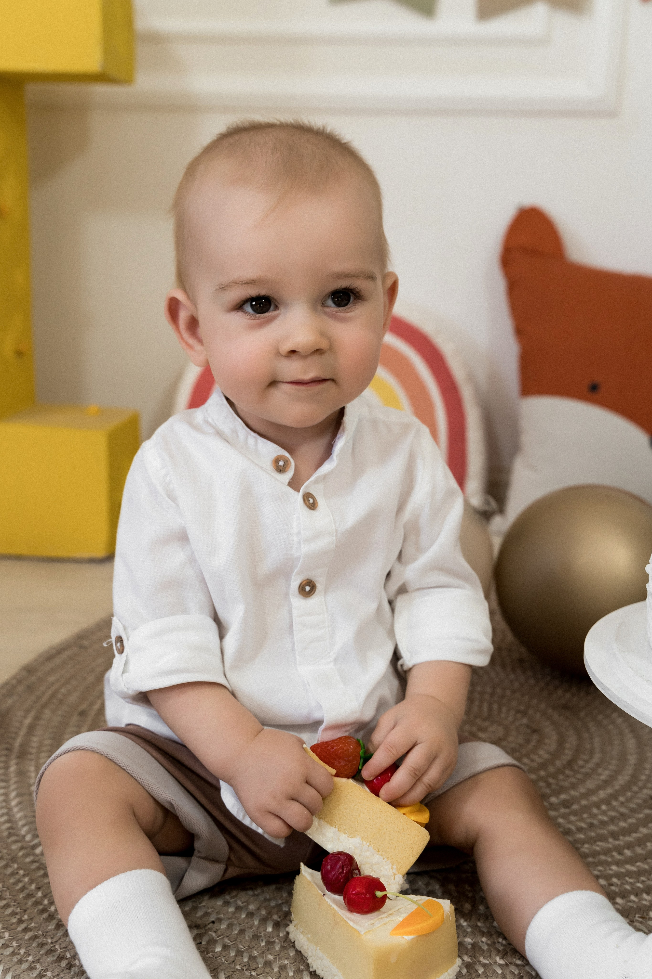 Льву 1 год!. Фотограф Алина Филимонова Тверь