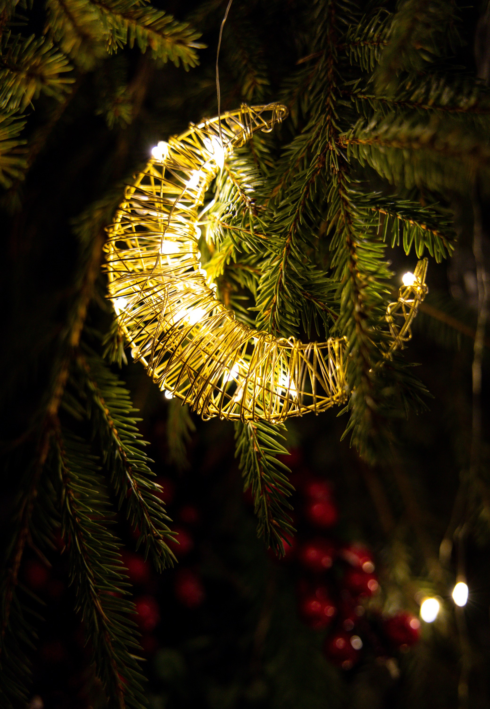 Новогодняя фотосессия в Костроме. Портретный фотограф в Костроме Наталия Клевинскас