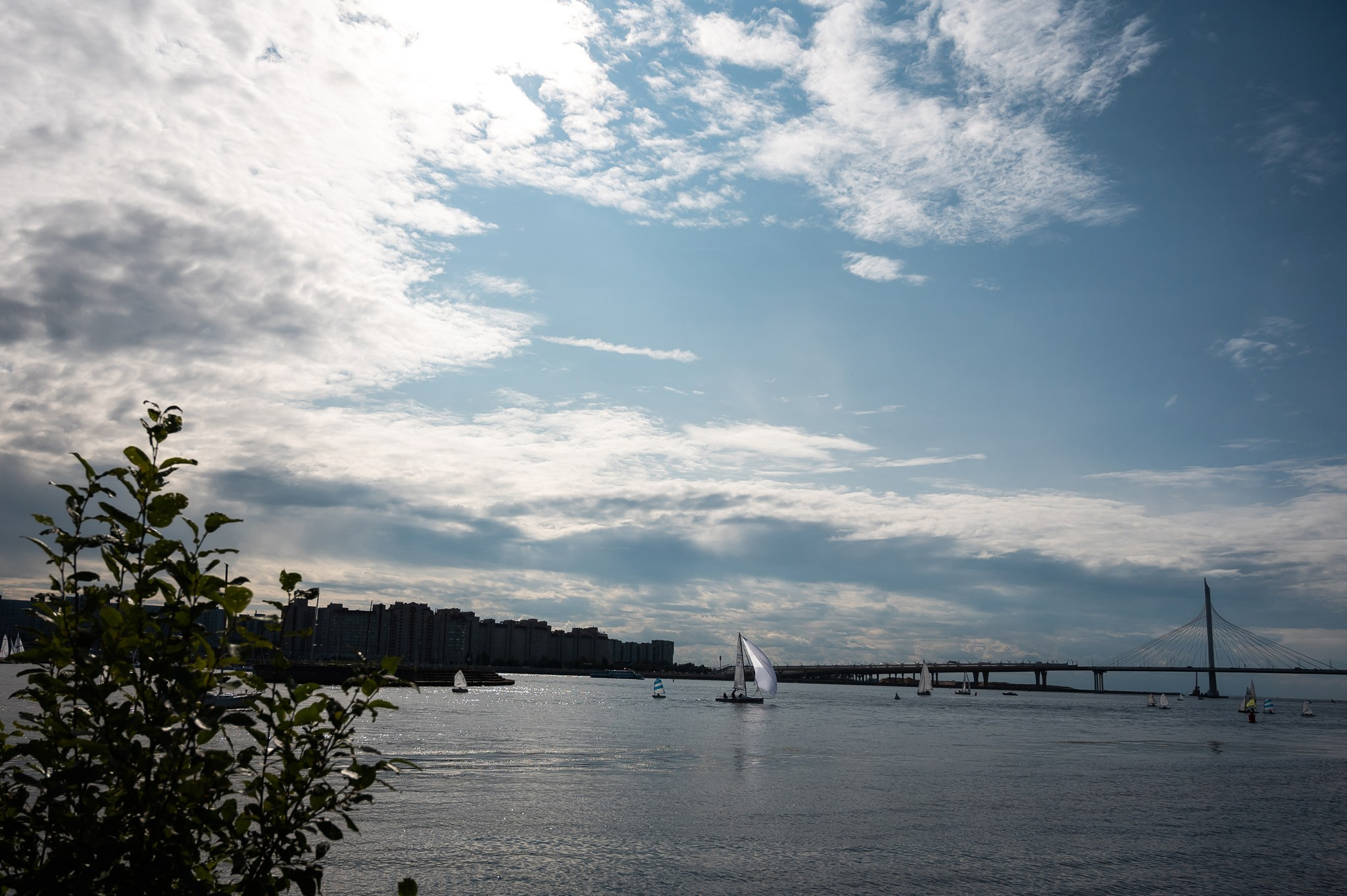 Стильная свадьба. Свадебный и семейный фотограф из Санкт-Петербурга Климов Анатолий
