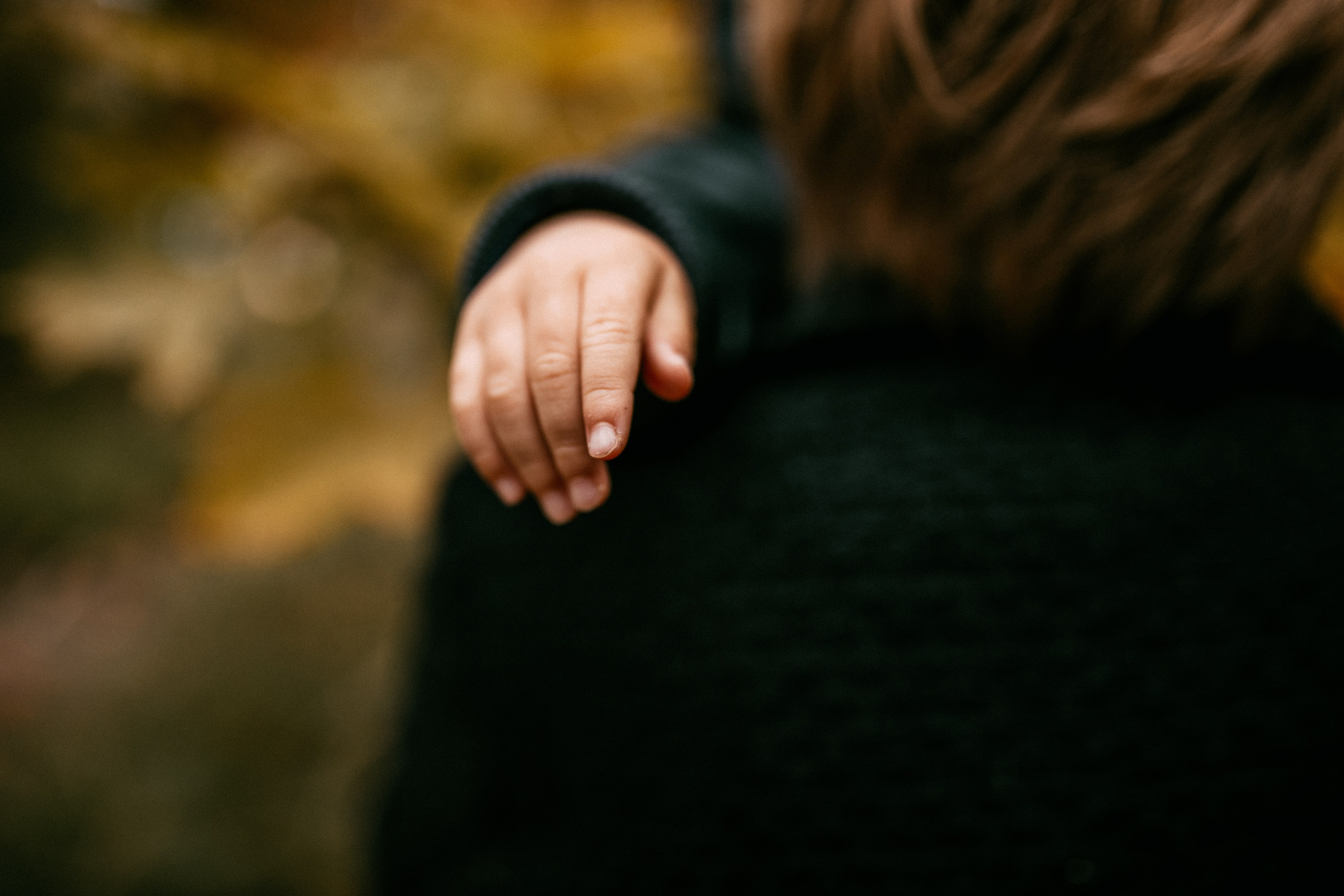 Осенняя семейная фотосъемка. Фотограф Лебедева Наталья