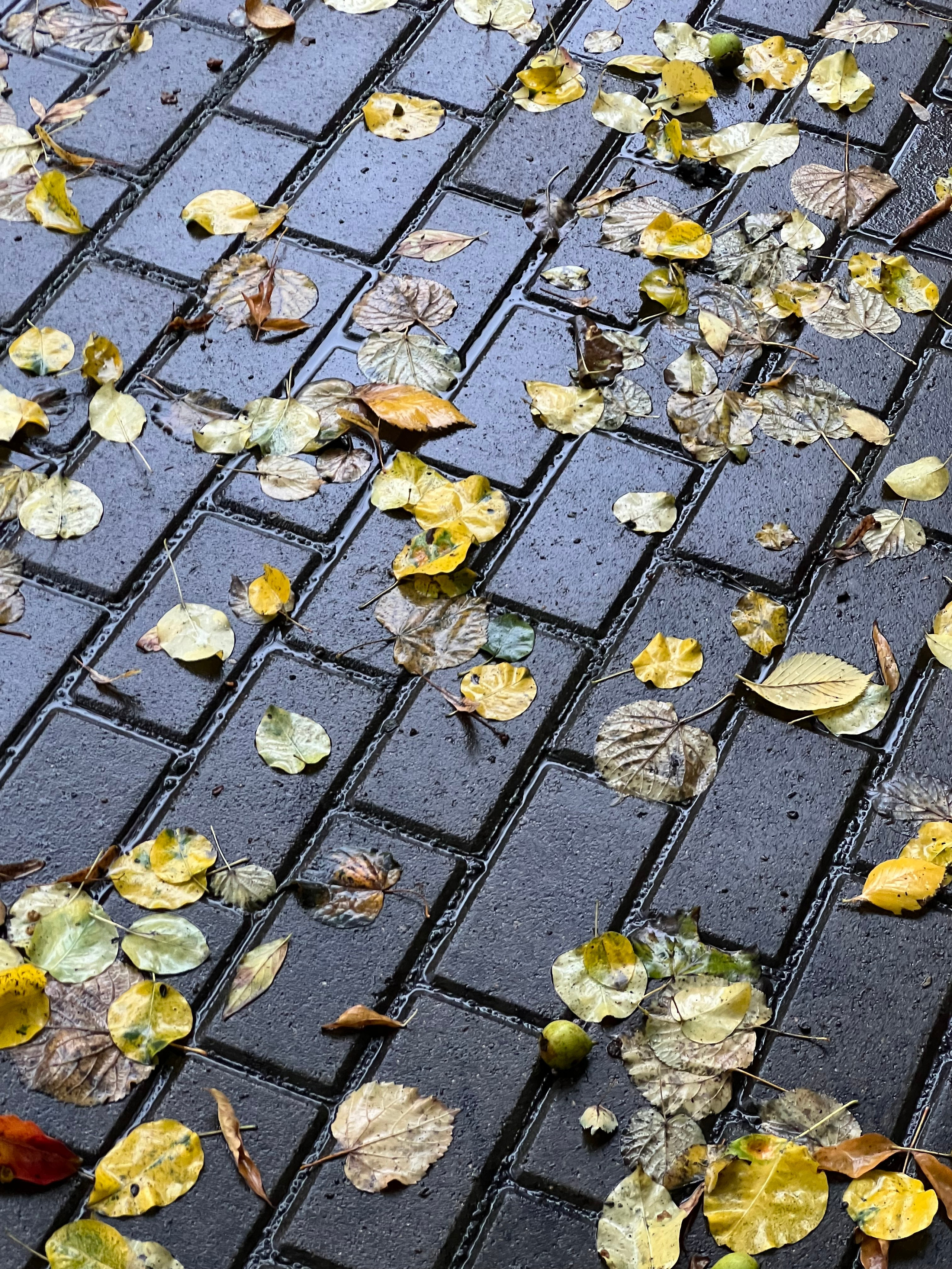 Fragments. Artem Khusainov