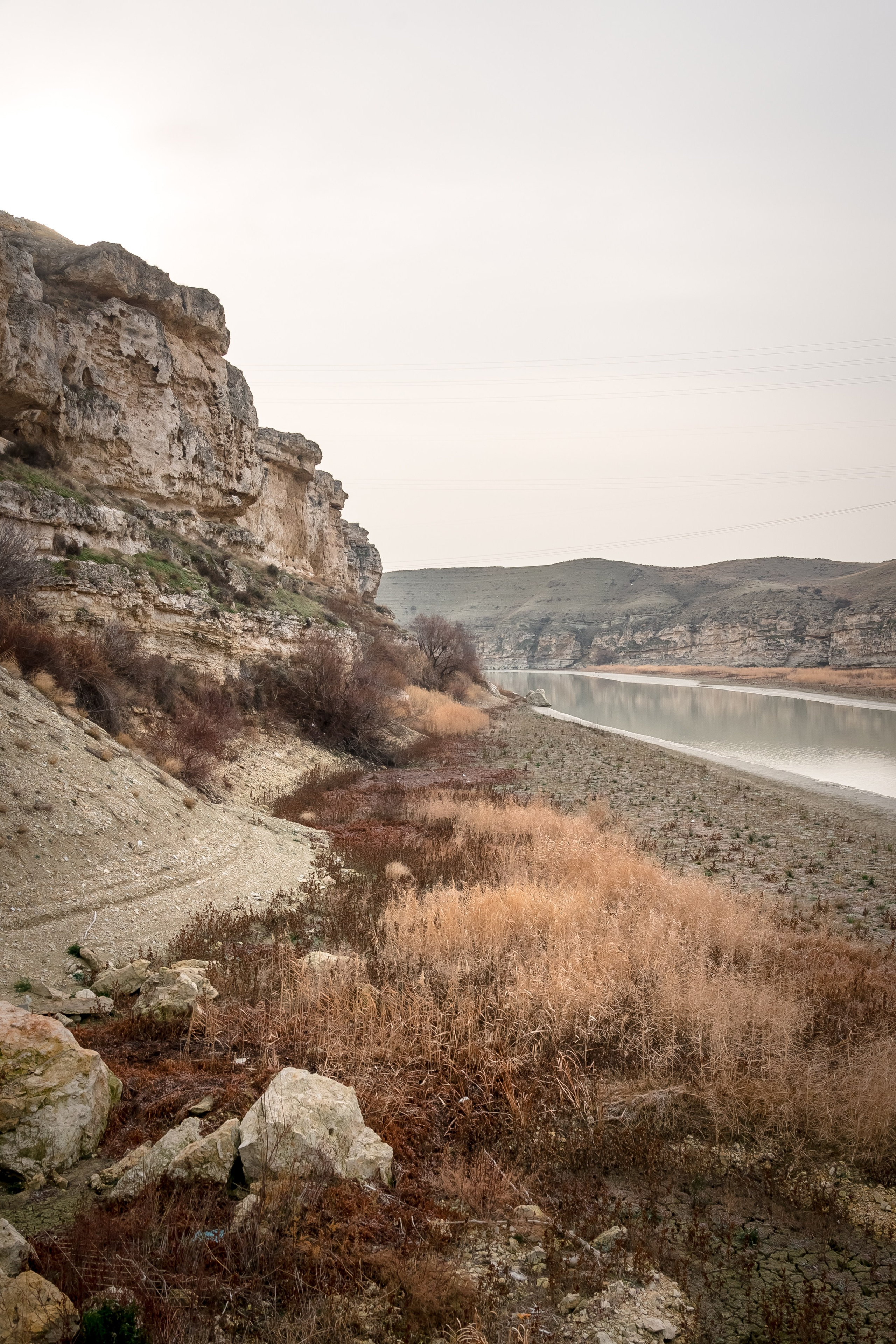 Турция, Птичий заповедник Наллихан. Юля Дэй • Фотограф, Санкт-Петербург