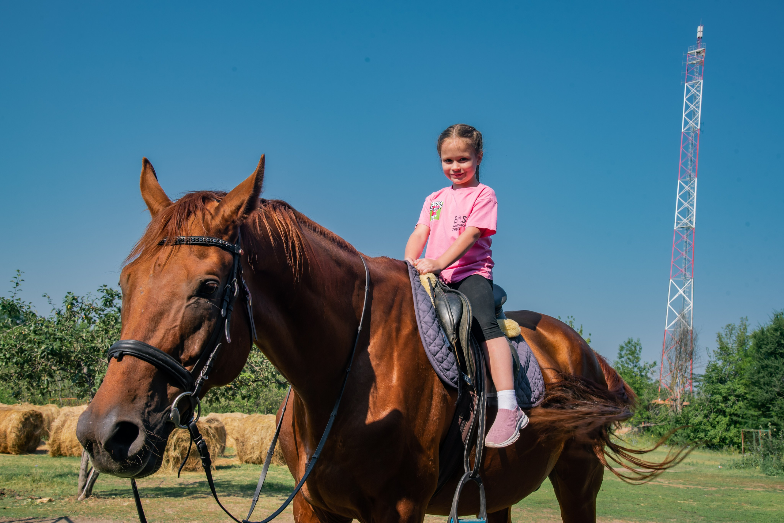 Конная прогулка. Фотограф Галина Нестерова