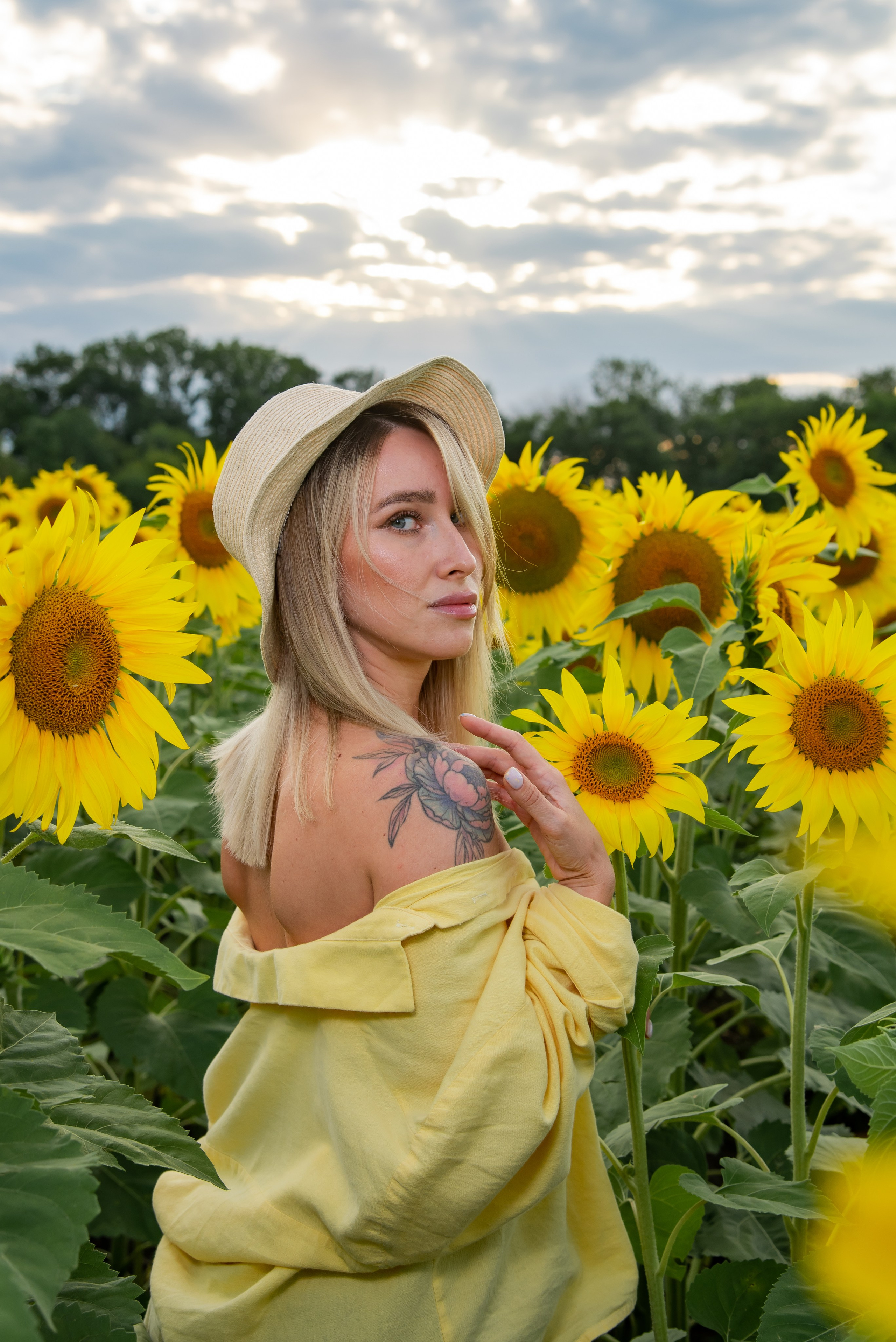 Подсолнух. Фотограф Галина Нестерова