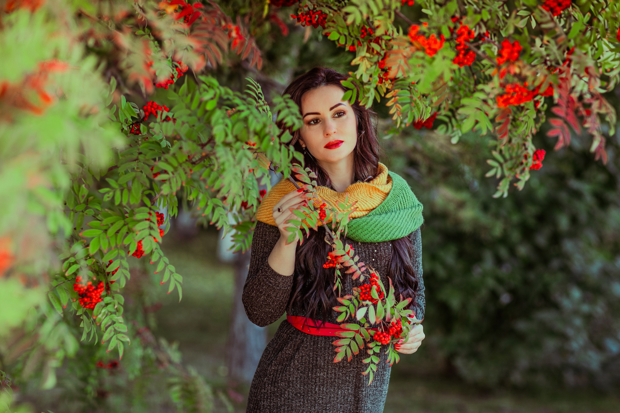 Багрец и золото. Фотограф Елена Вишневская (Ушакова) Нефтеюганск, Сургут, Тюмень