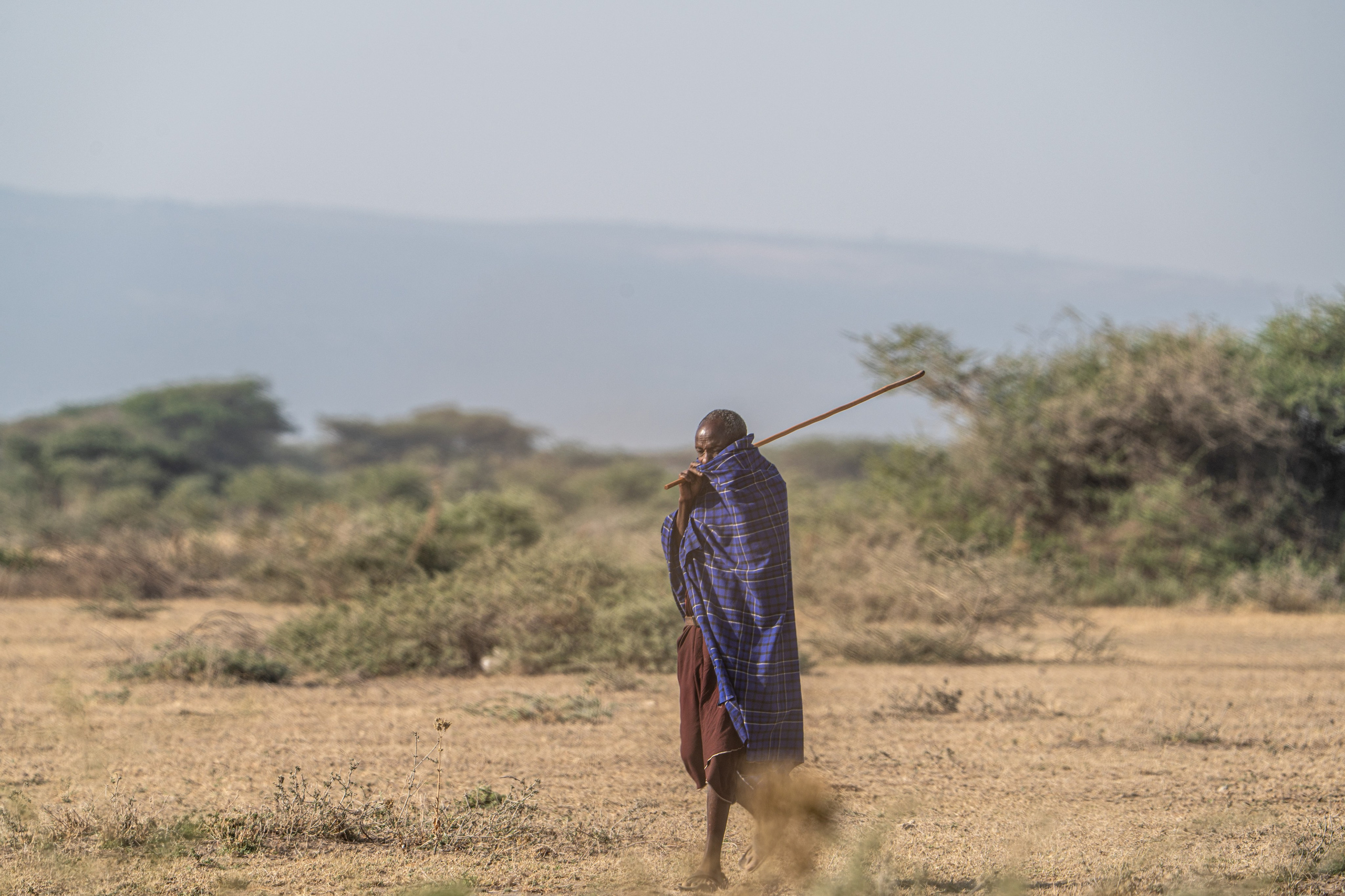Танзания, сафари, 2025. Творческие сьемки