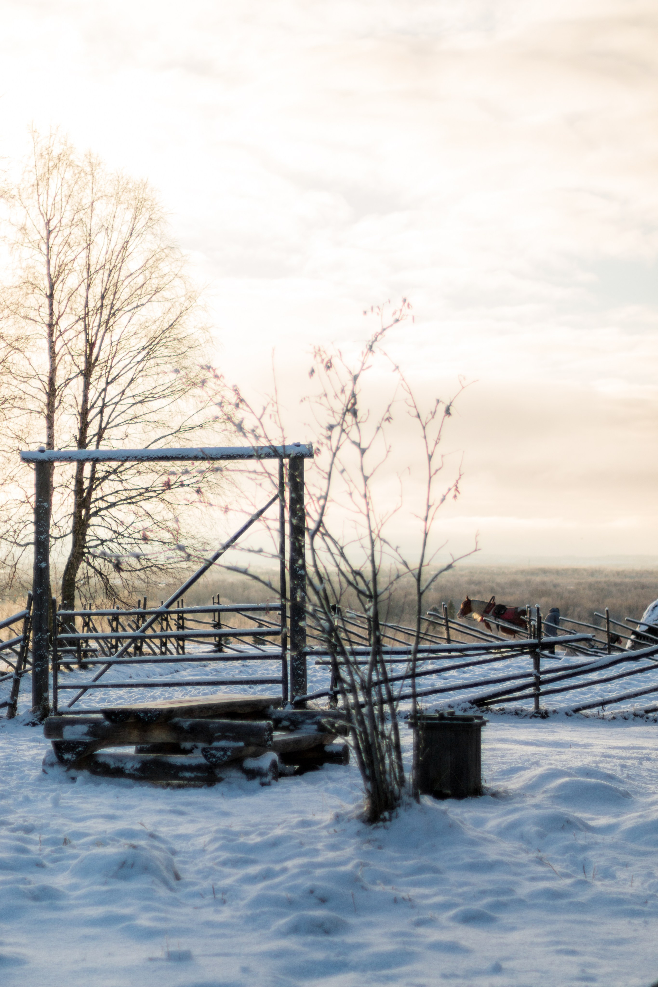 Русский Север, Малые карелы. Фотограф в Сочи