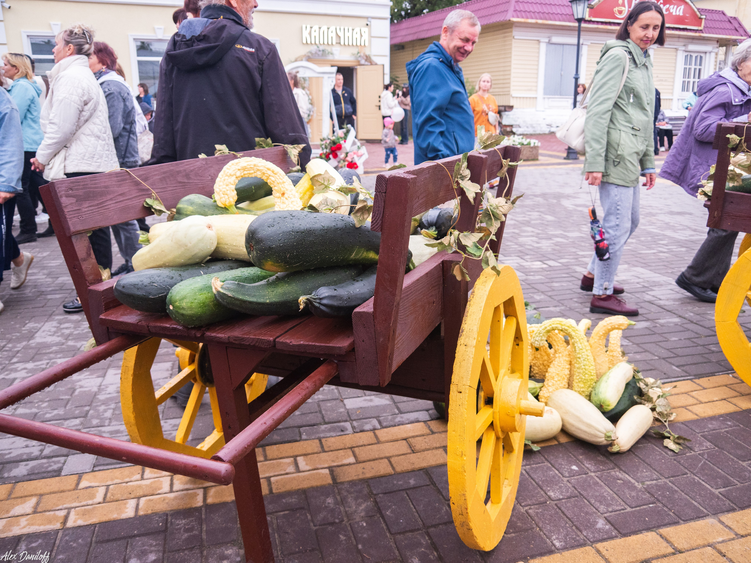 День города Муром 2025. Муром-Инфо. Новости культуры, образования, спорта в городе Муром