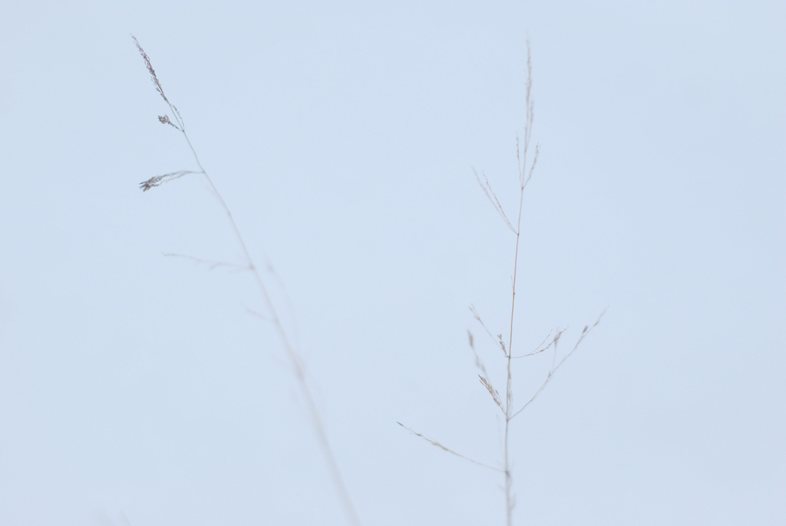 Этот прекрасный мир