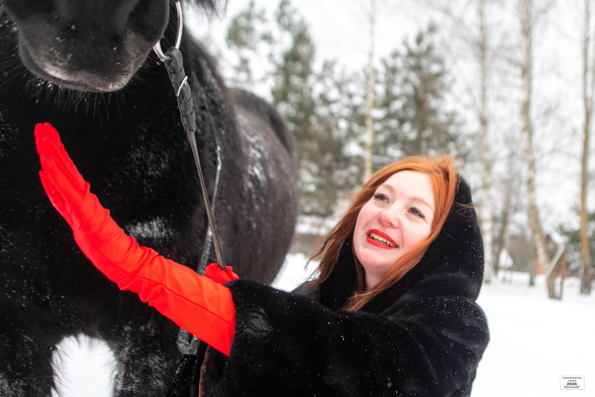 Фотосессии с лошадьми. Профессиональный фотограф Чехарина Анна / pro photographer Chekharina
