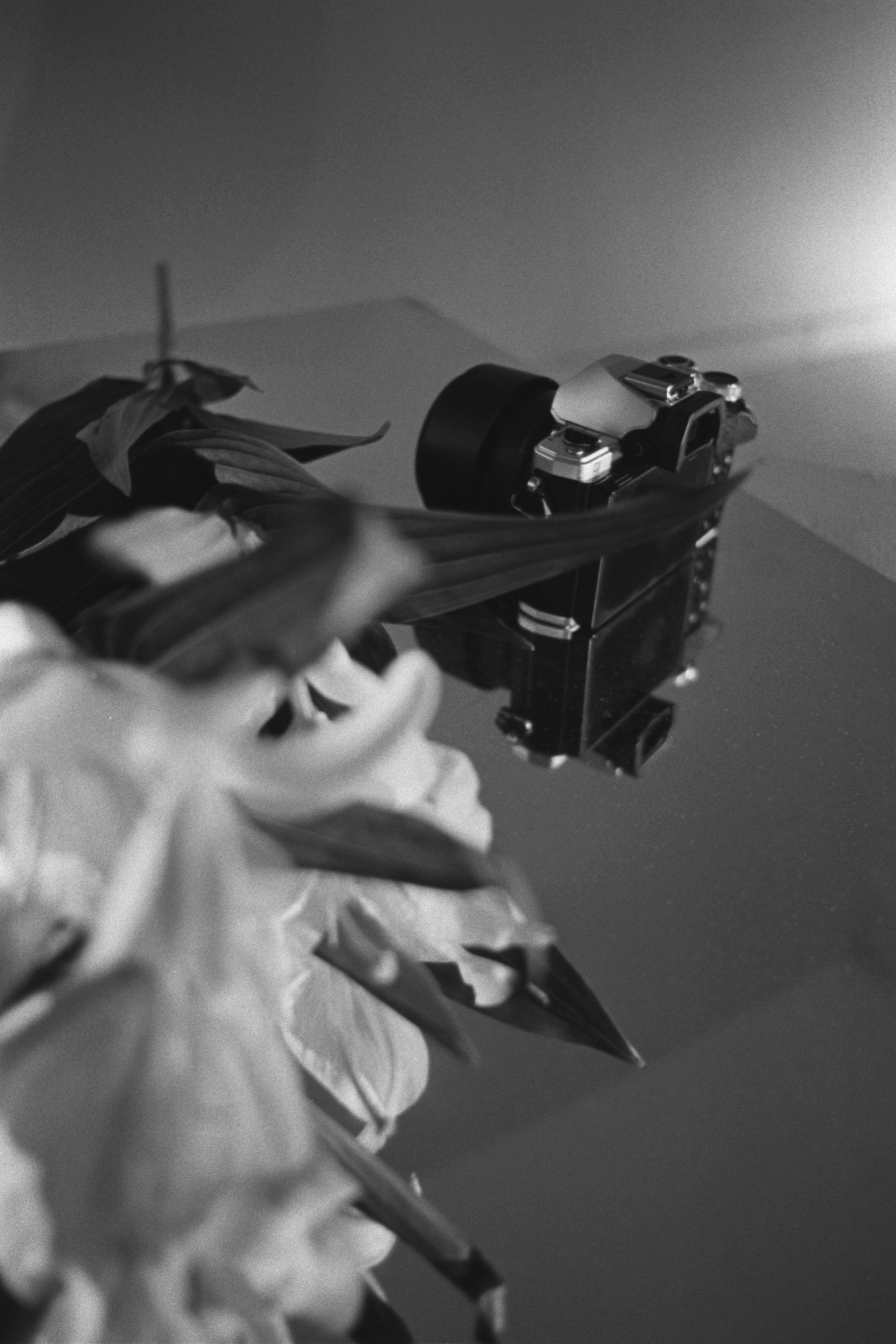 Пленочная история. Дмитрий Пропадалин, Нейрофотография