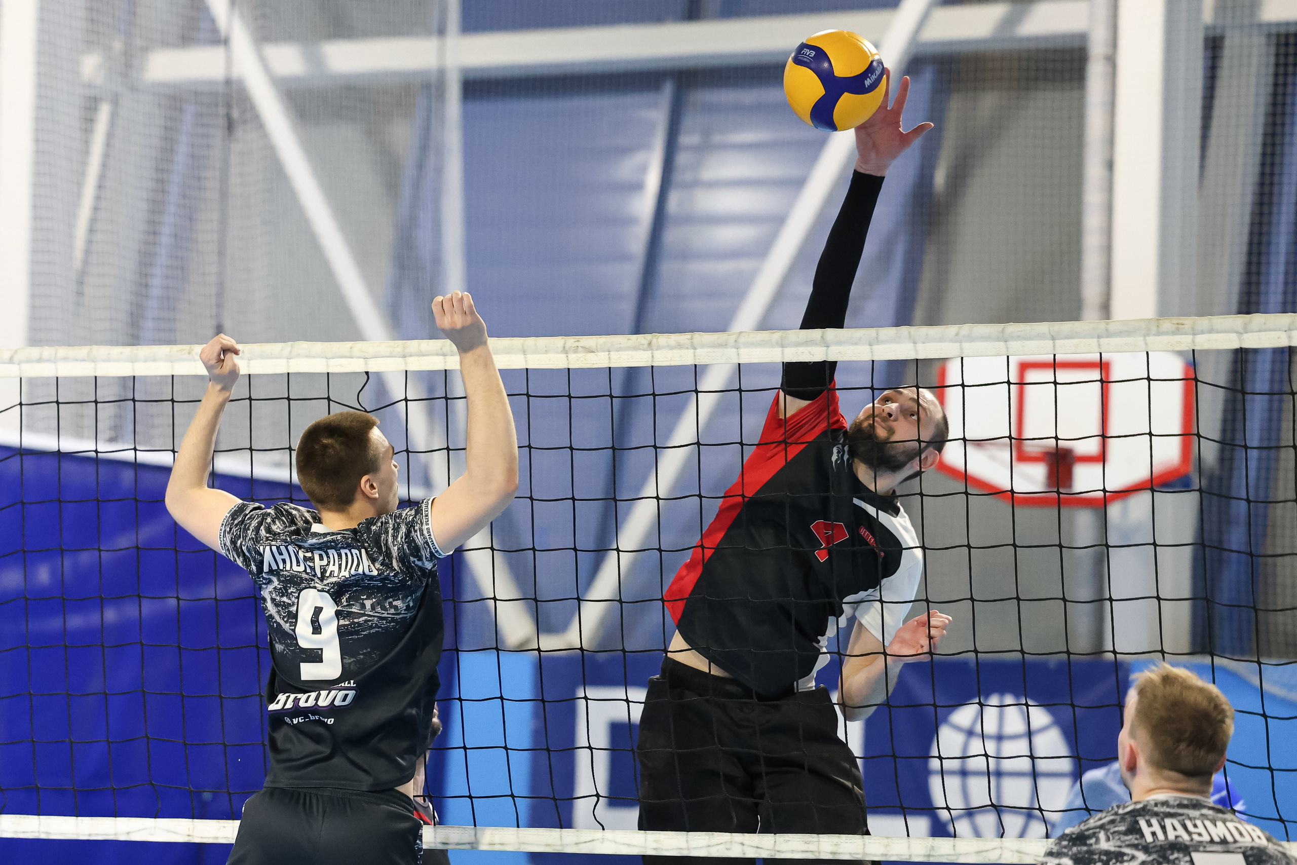 Волейбол. Репортажный фотограф в Москве Екатерина Якель