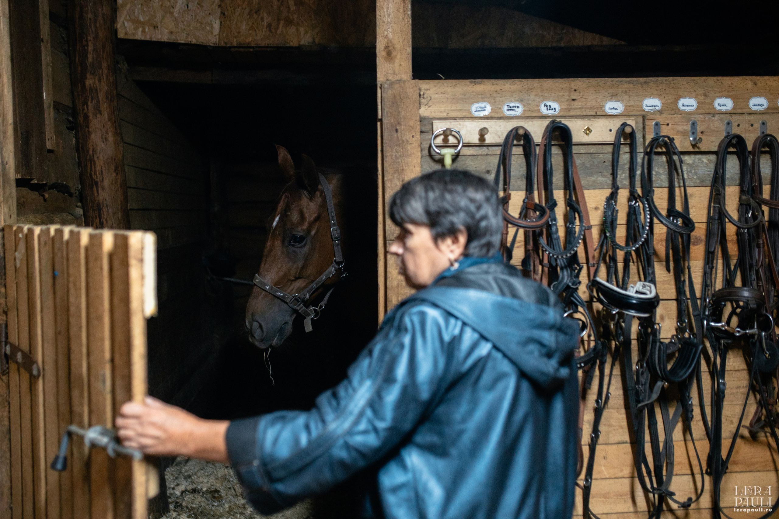 ДПСО «ЛизаАлерт». Главная