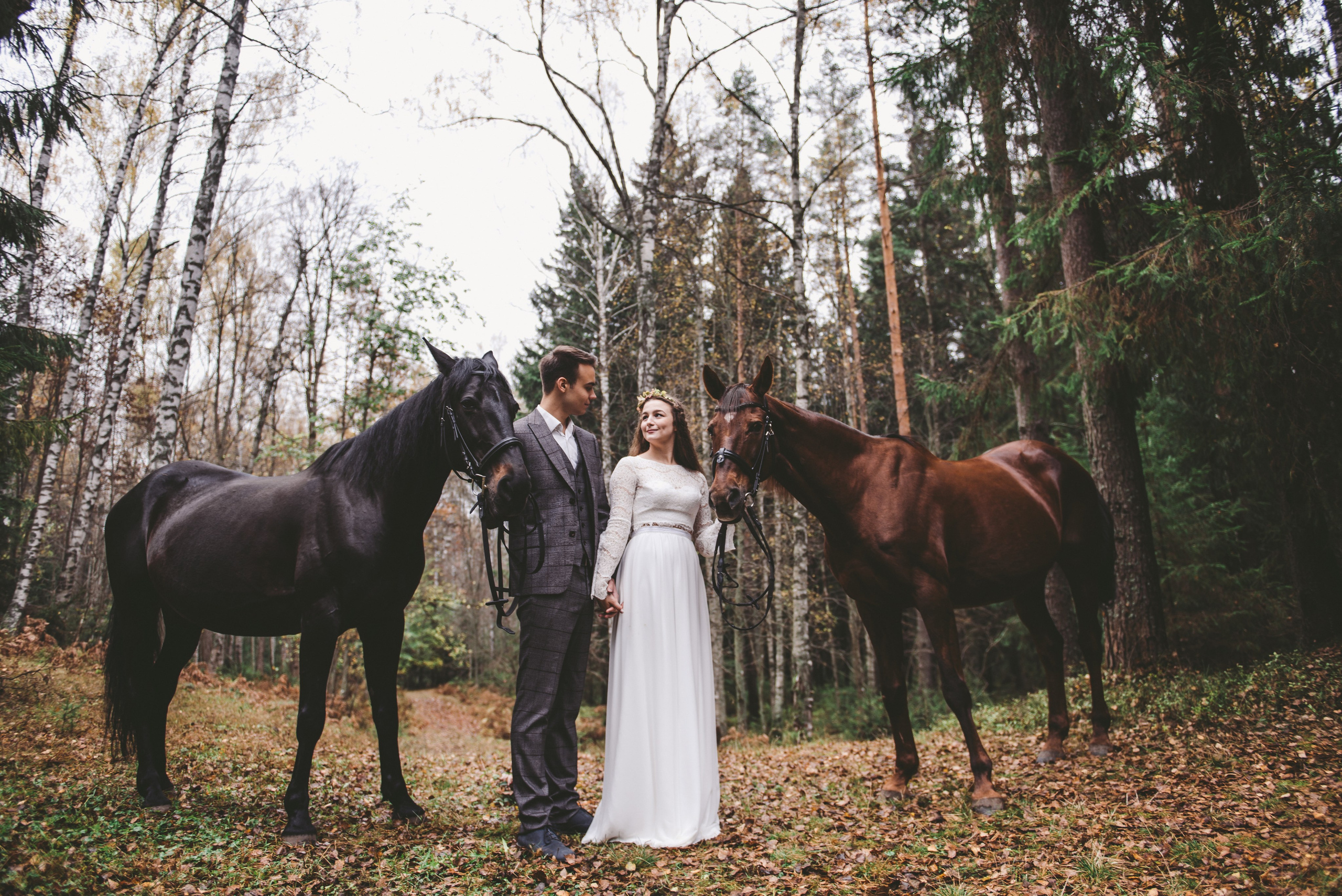 Лесная сказка с лошадками. Свадебный и семейный фотограф София Невская
