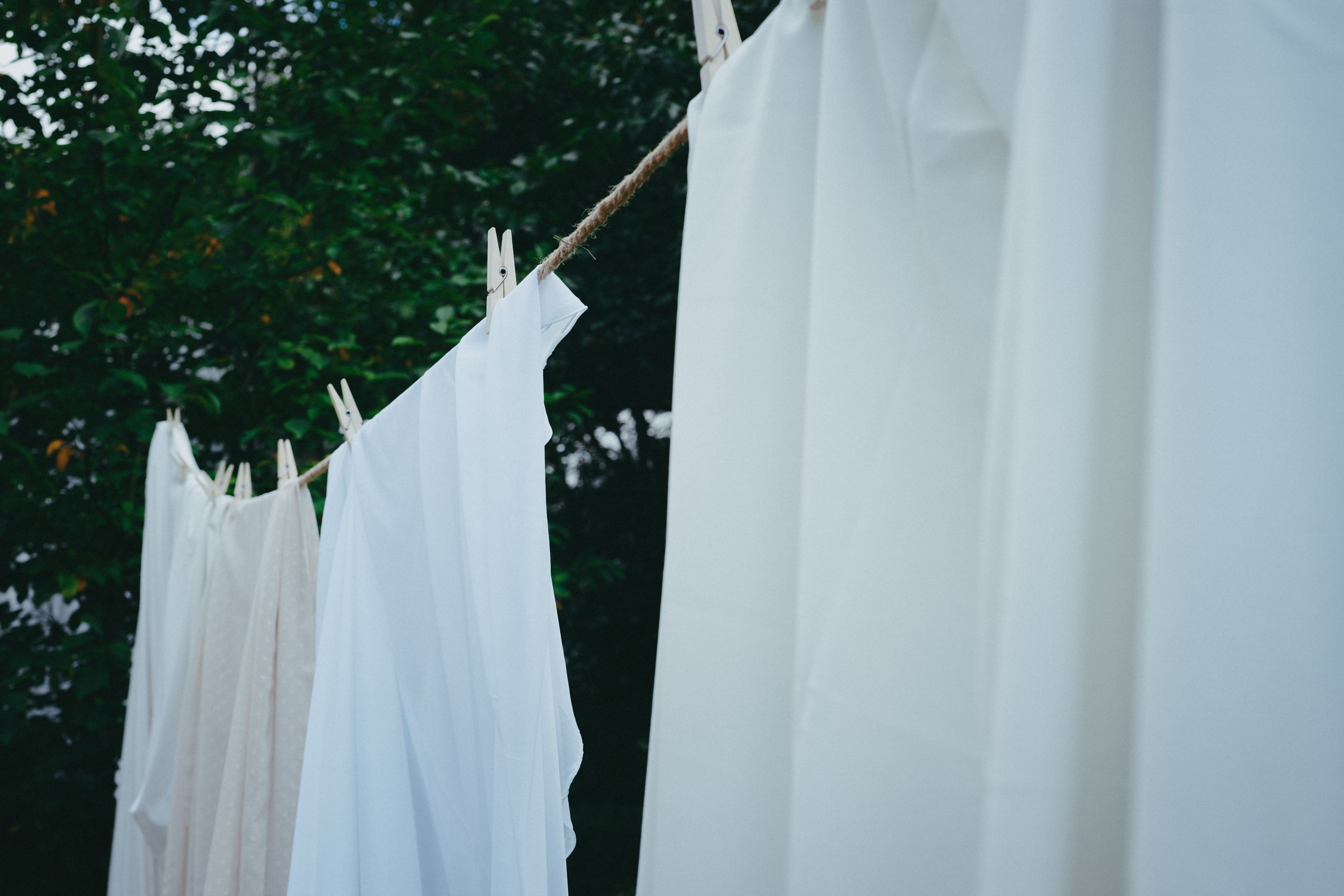 Корпоратив летом под открытым небом. Komonev