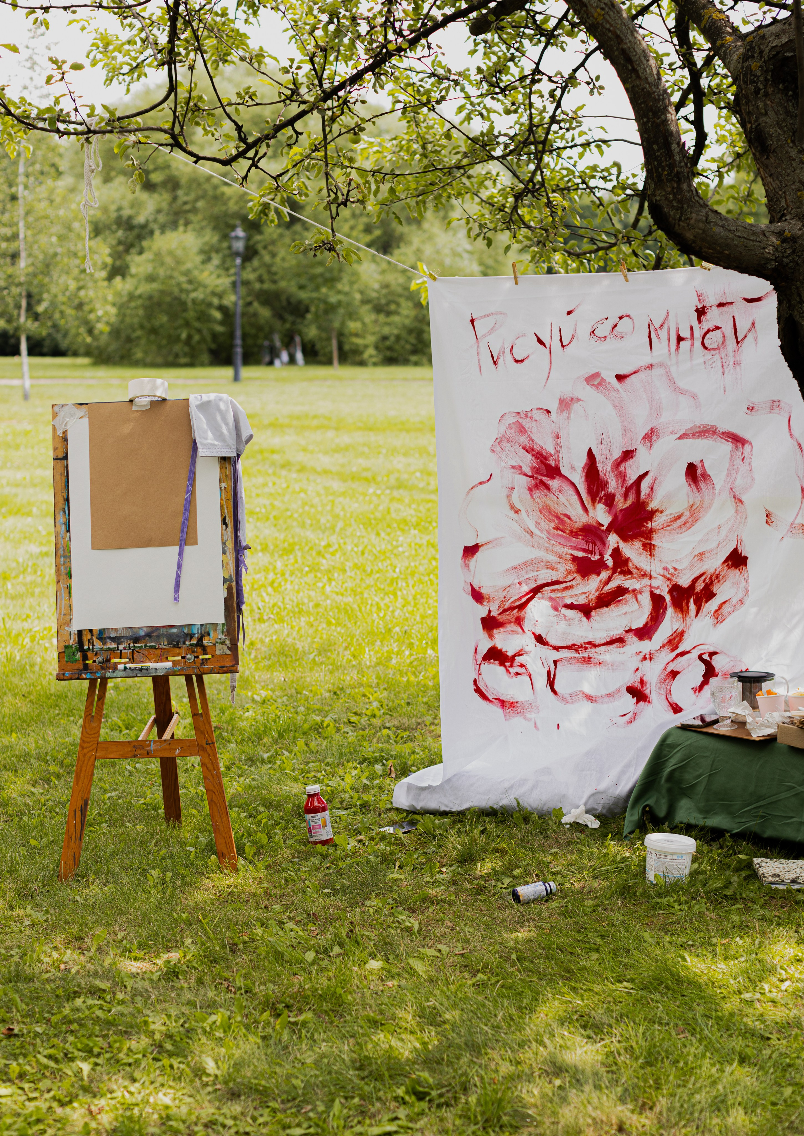МК Пион (пикник в парке). Анастасия Ракчеева Художник