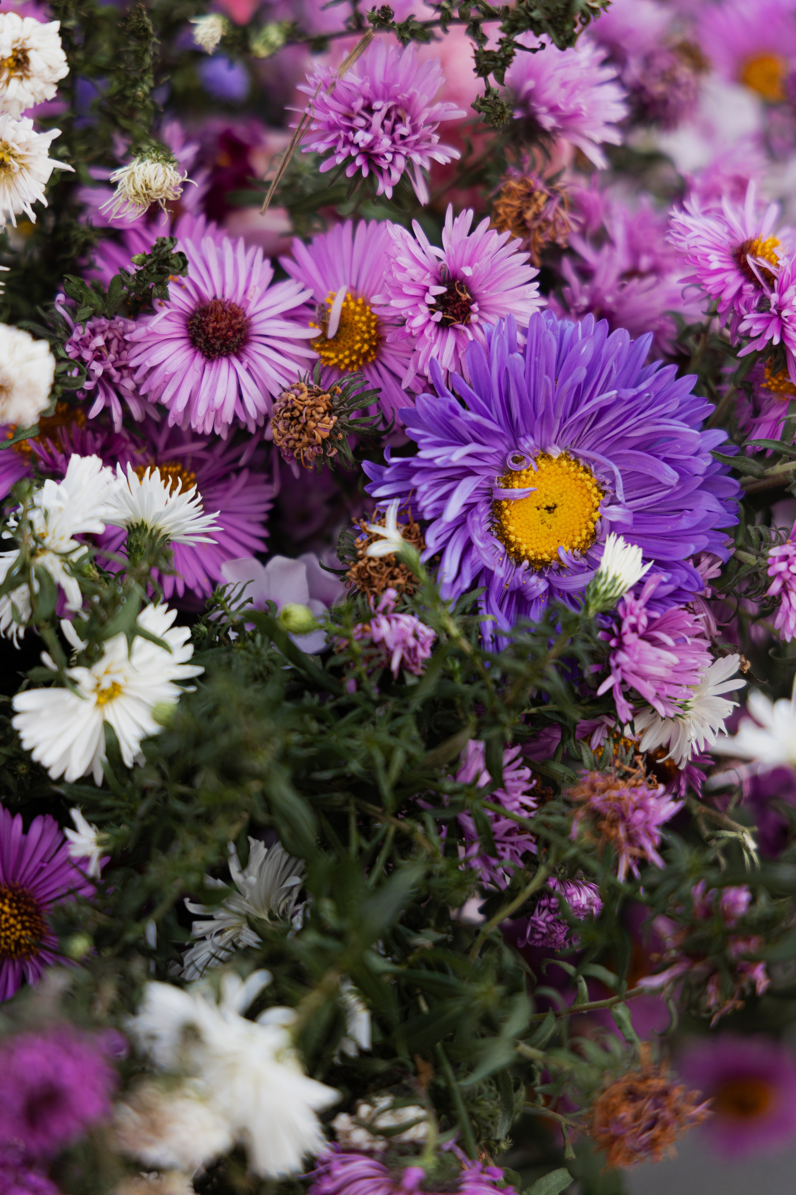МК Осенний венок (локация на крыше). Анастасия Ракчеева Художник