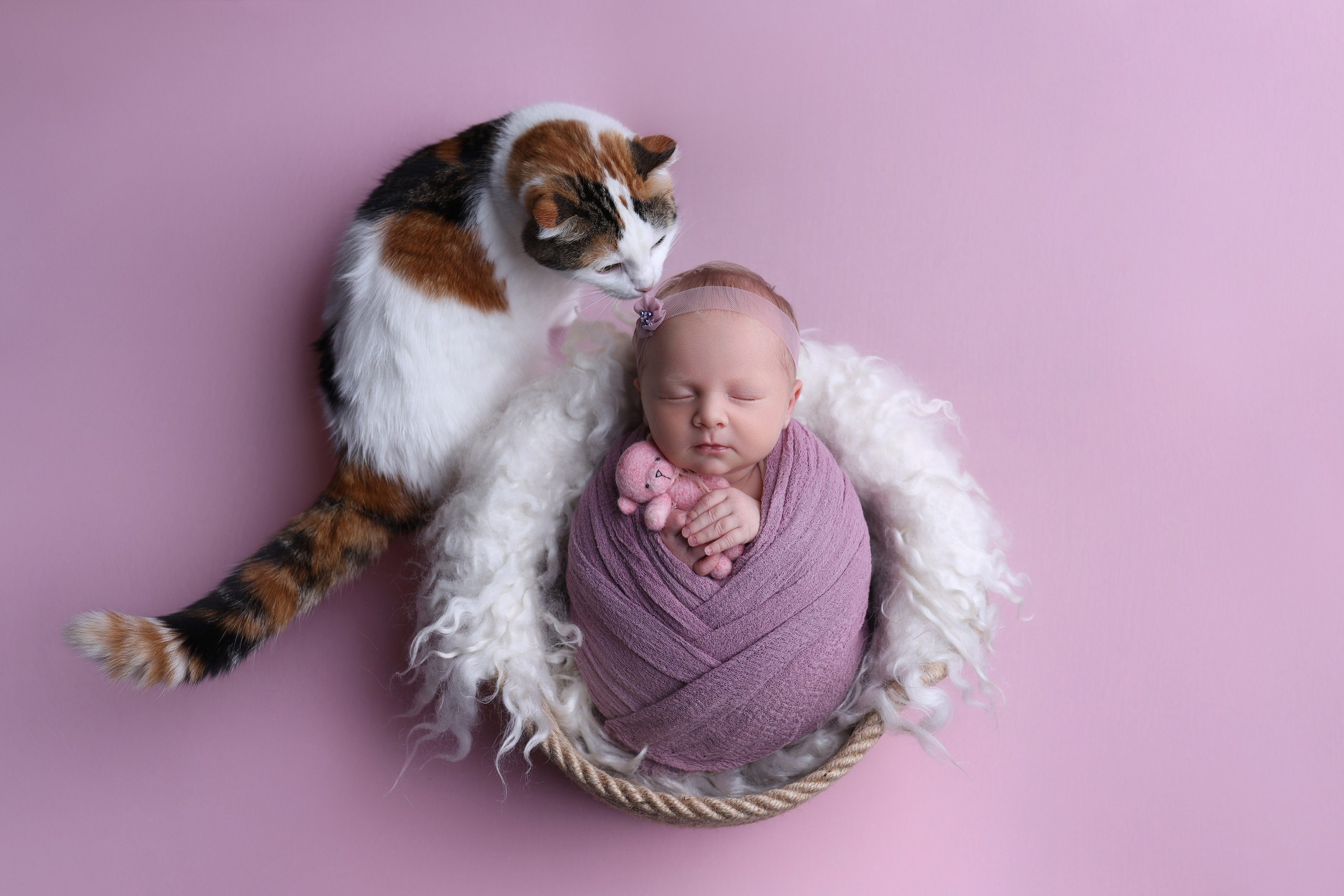 Newborn девочки. Фотограф новорожденных Модяева Ирина