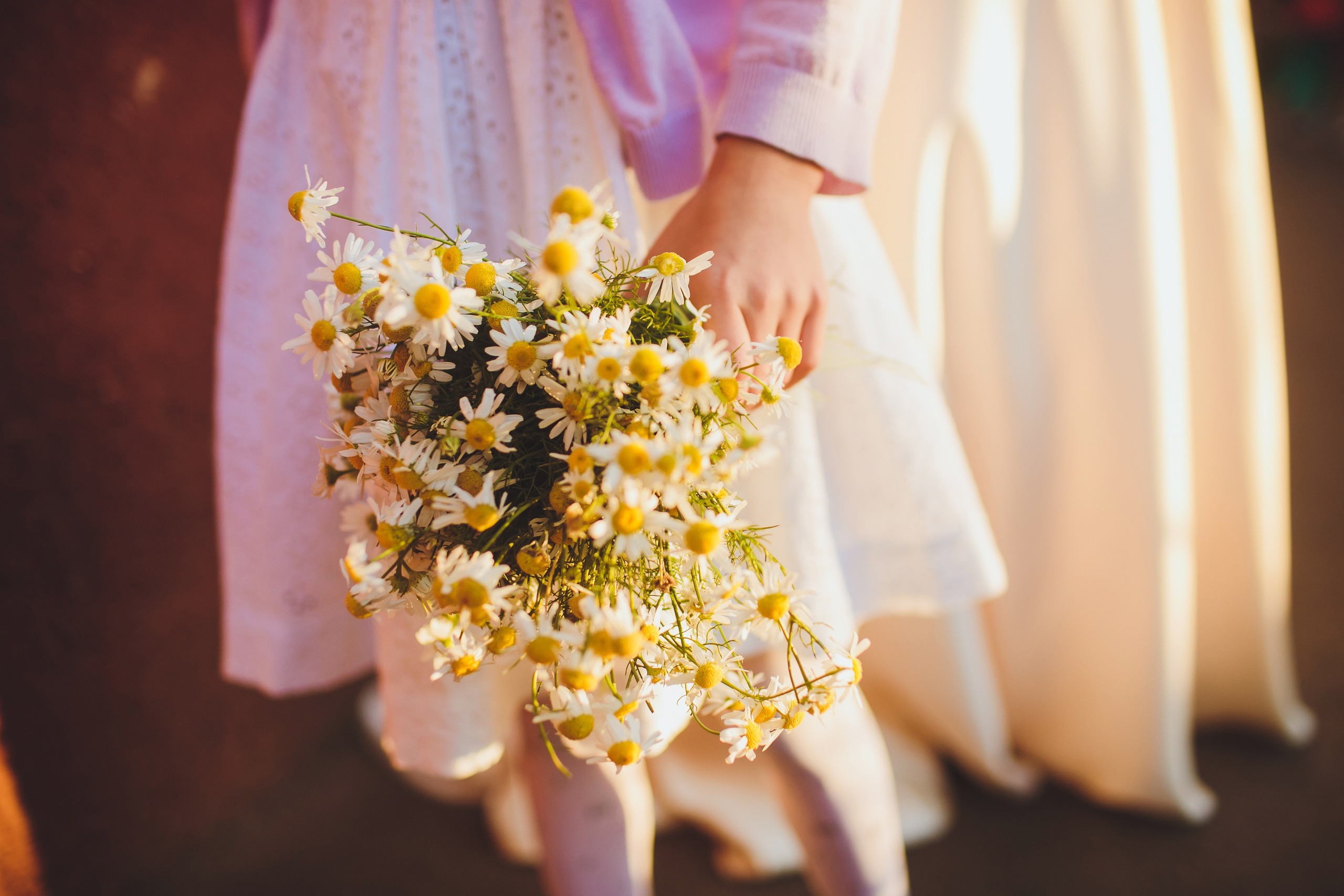 Ромашки. Семейный и портретный фотограф в Санкт-Петербурге Маргарита Кряклина