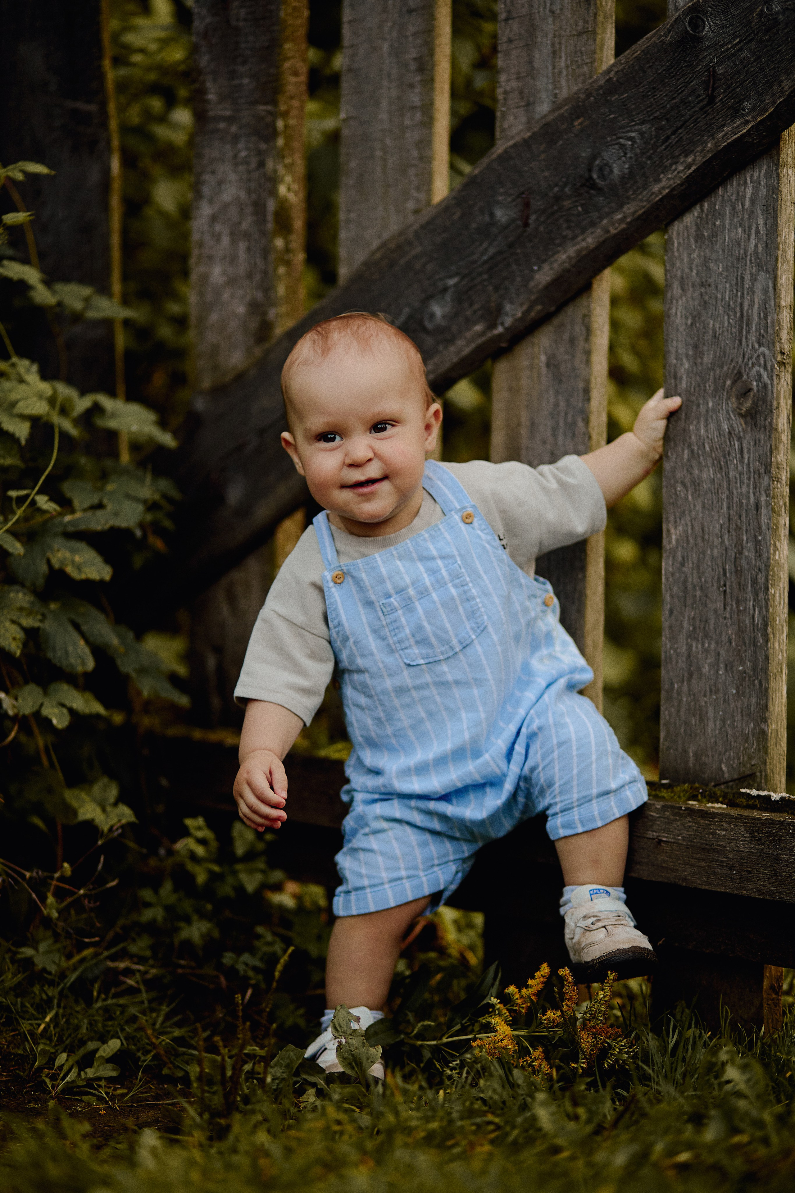 Дима, Маша и Лео. Свадебный фотограф Чайковский