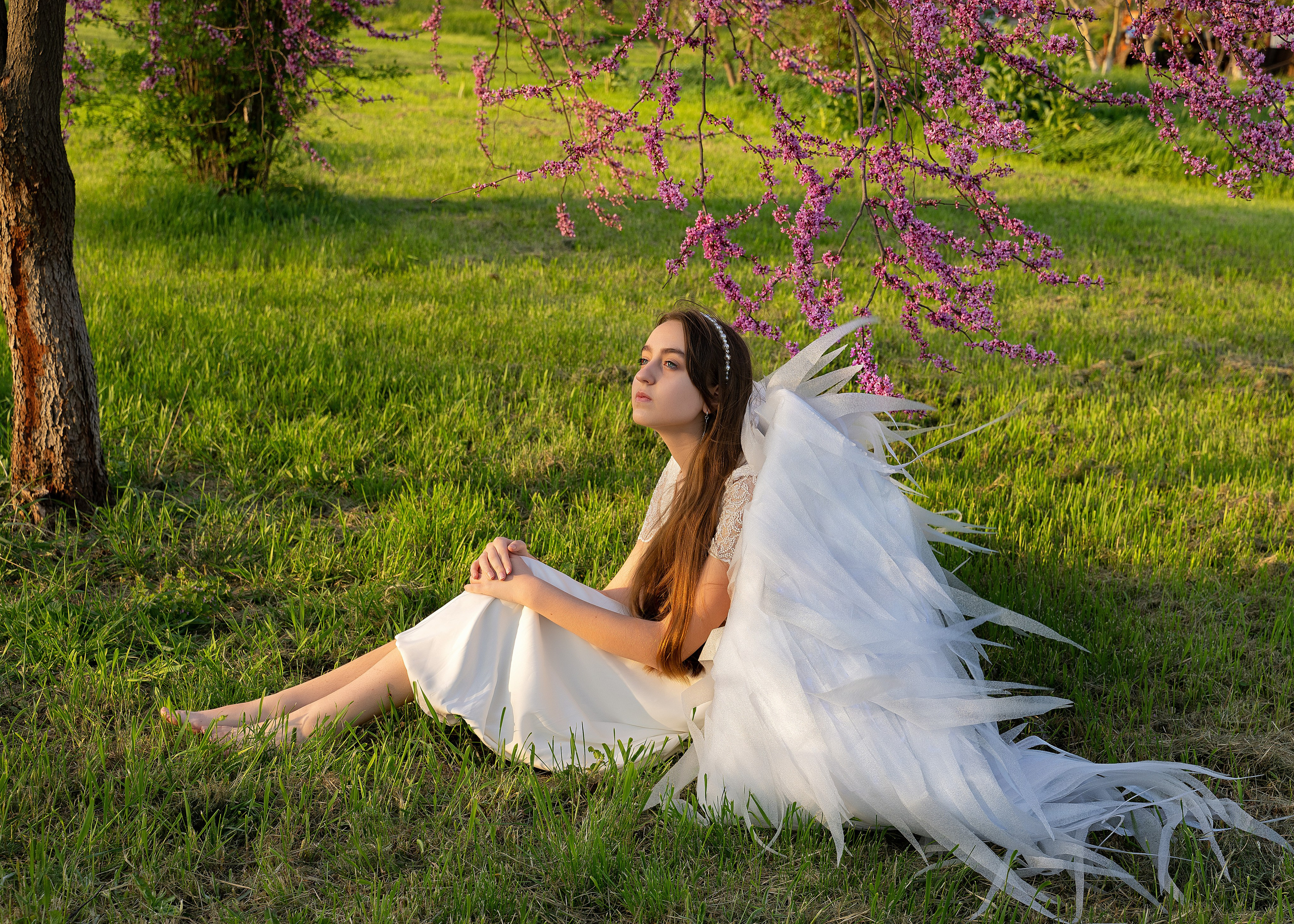 Крылатые истории. Главная