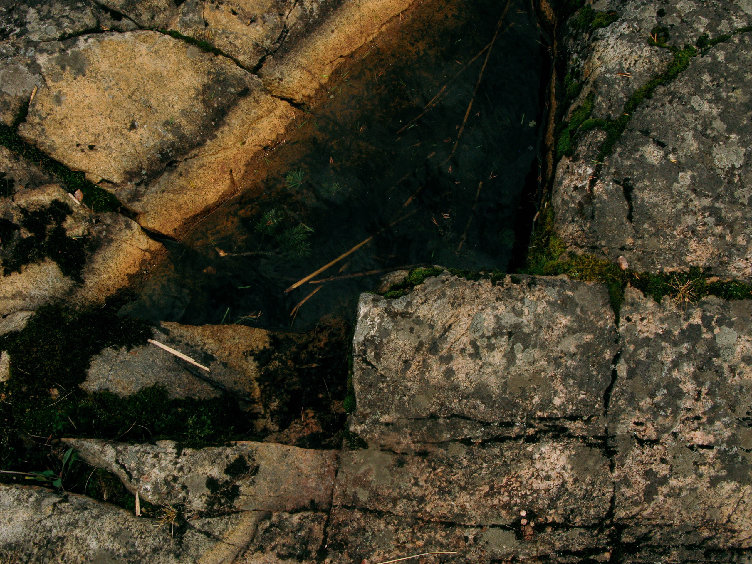 Karelia. Shyjungle's Portfolio