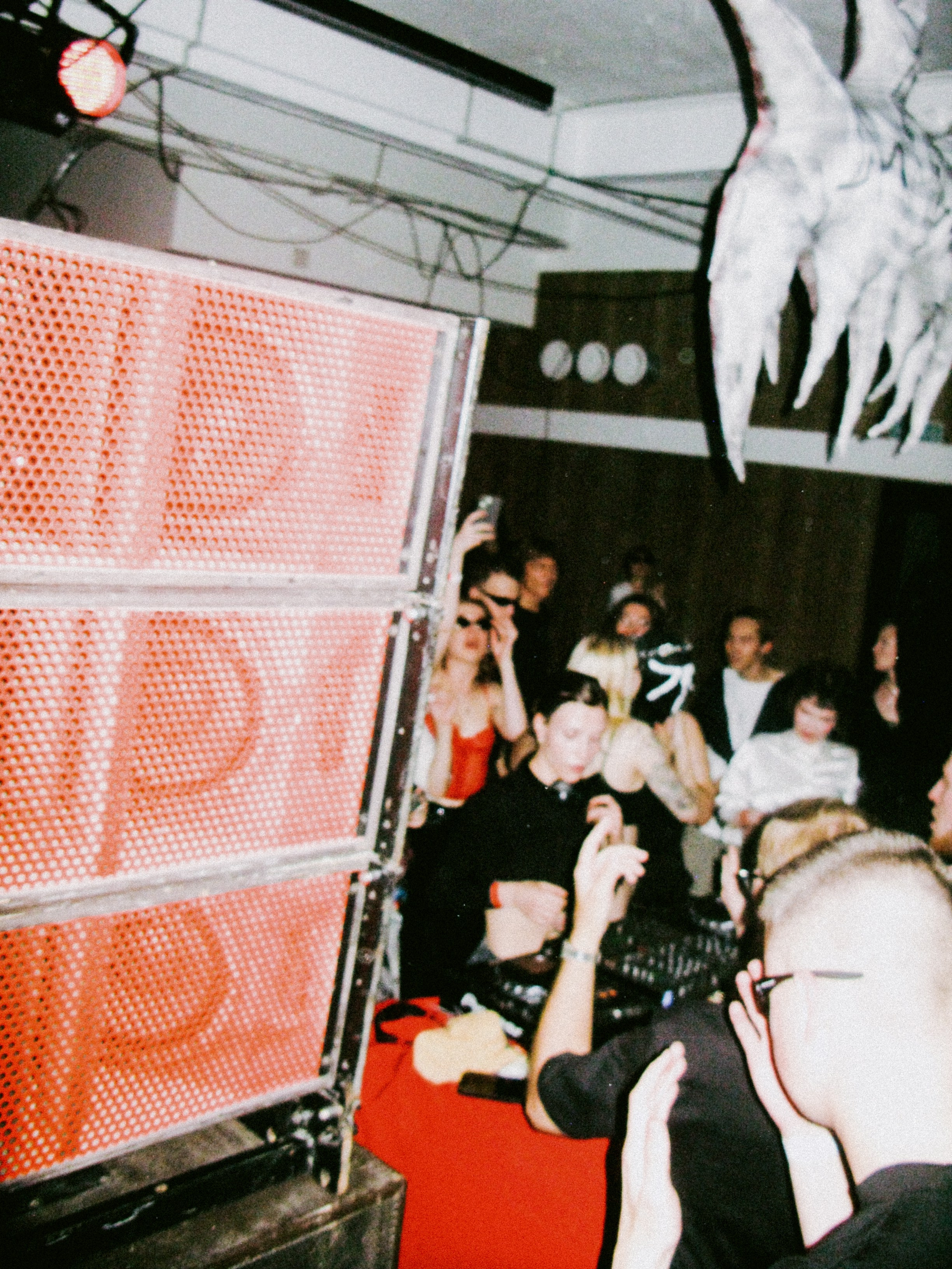 Kontrkult: last summer days. Shyjungle's Portfolio