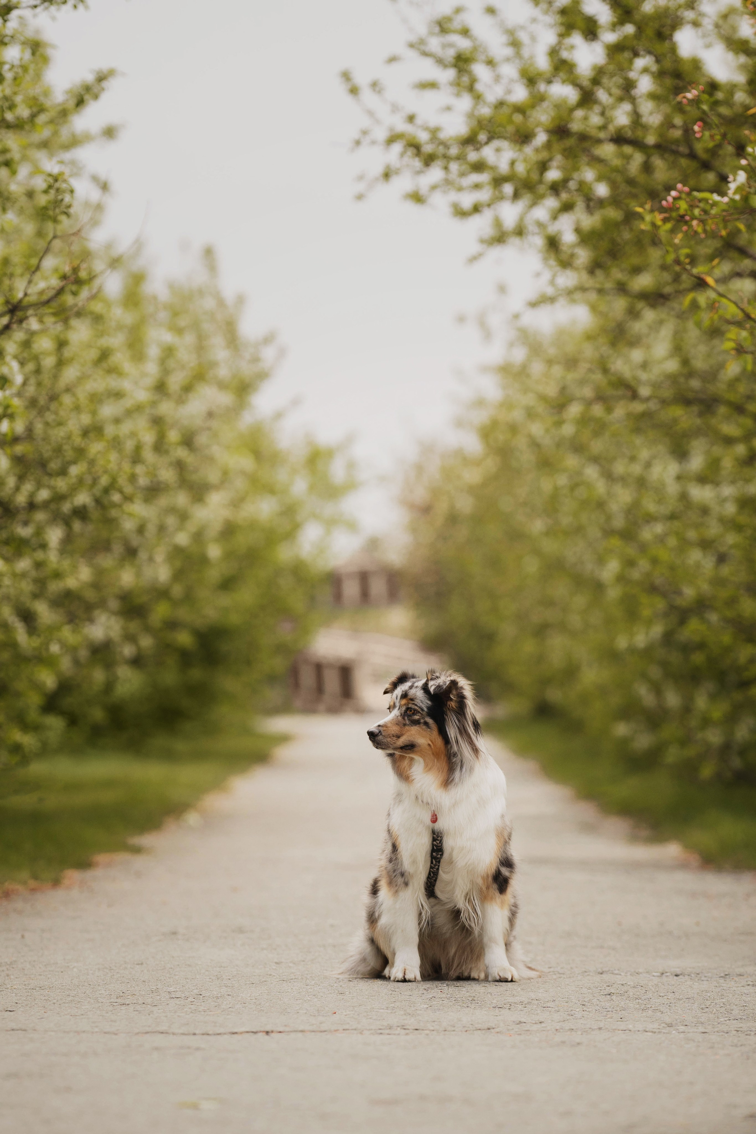 Николай и его девчонки. Kameramotor74