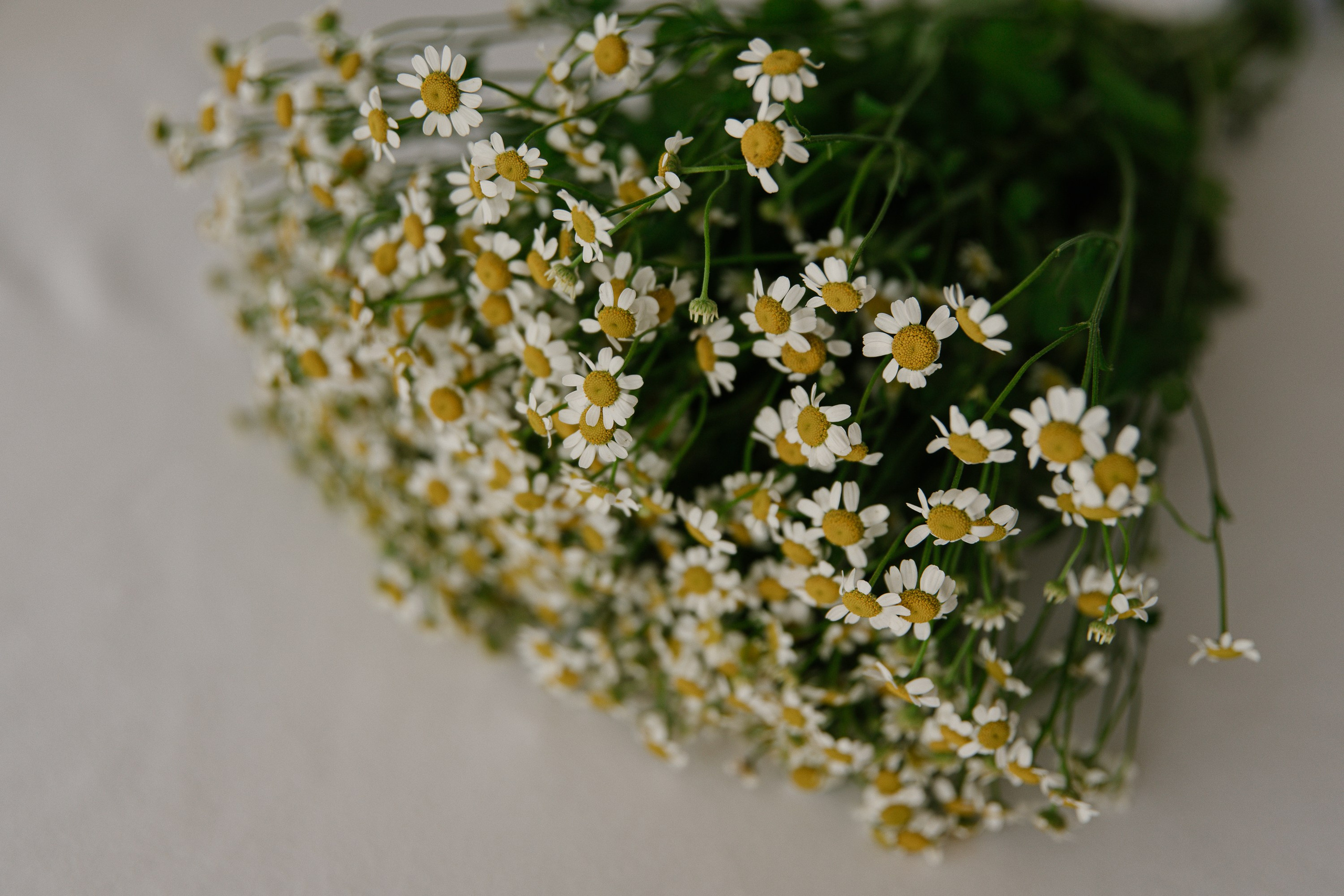 Антон и Любовь. Свадебный и семейный фотограф в Коломне Мария Мусатова