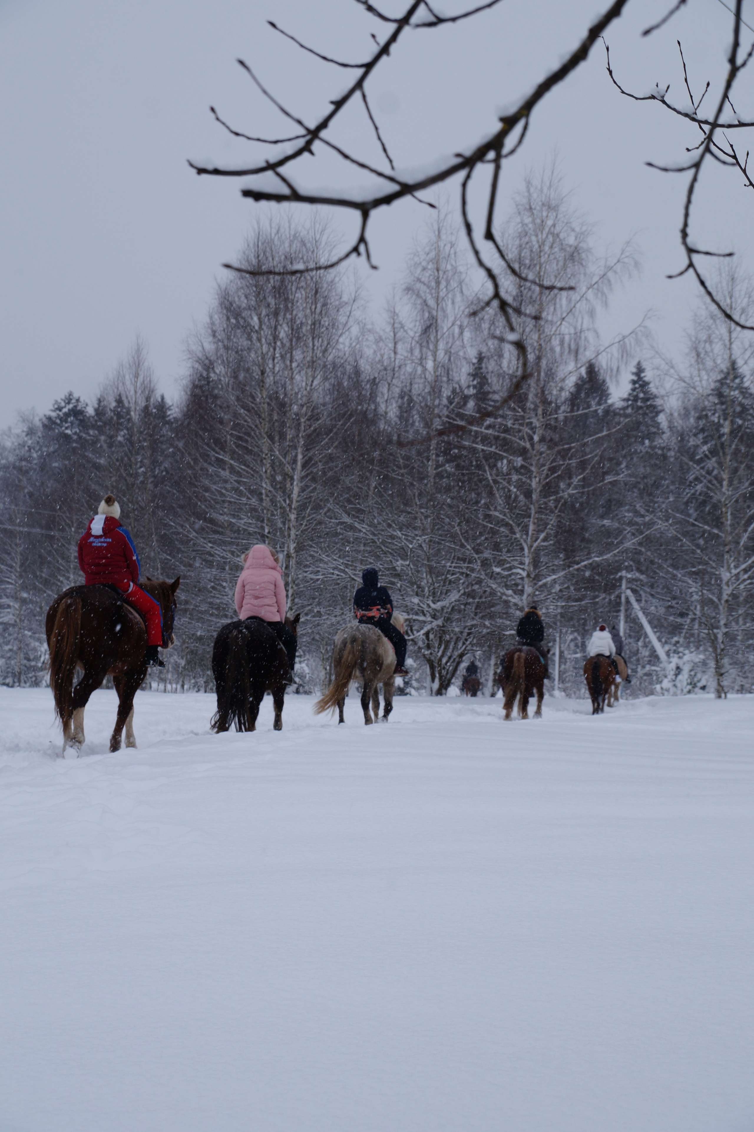 Лошадинг | 11.01.2026. Галерея Фантим
