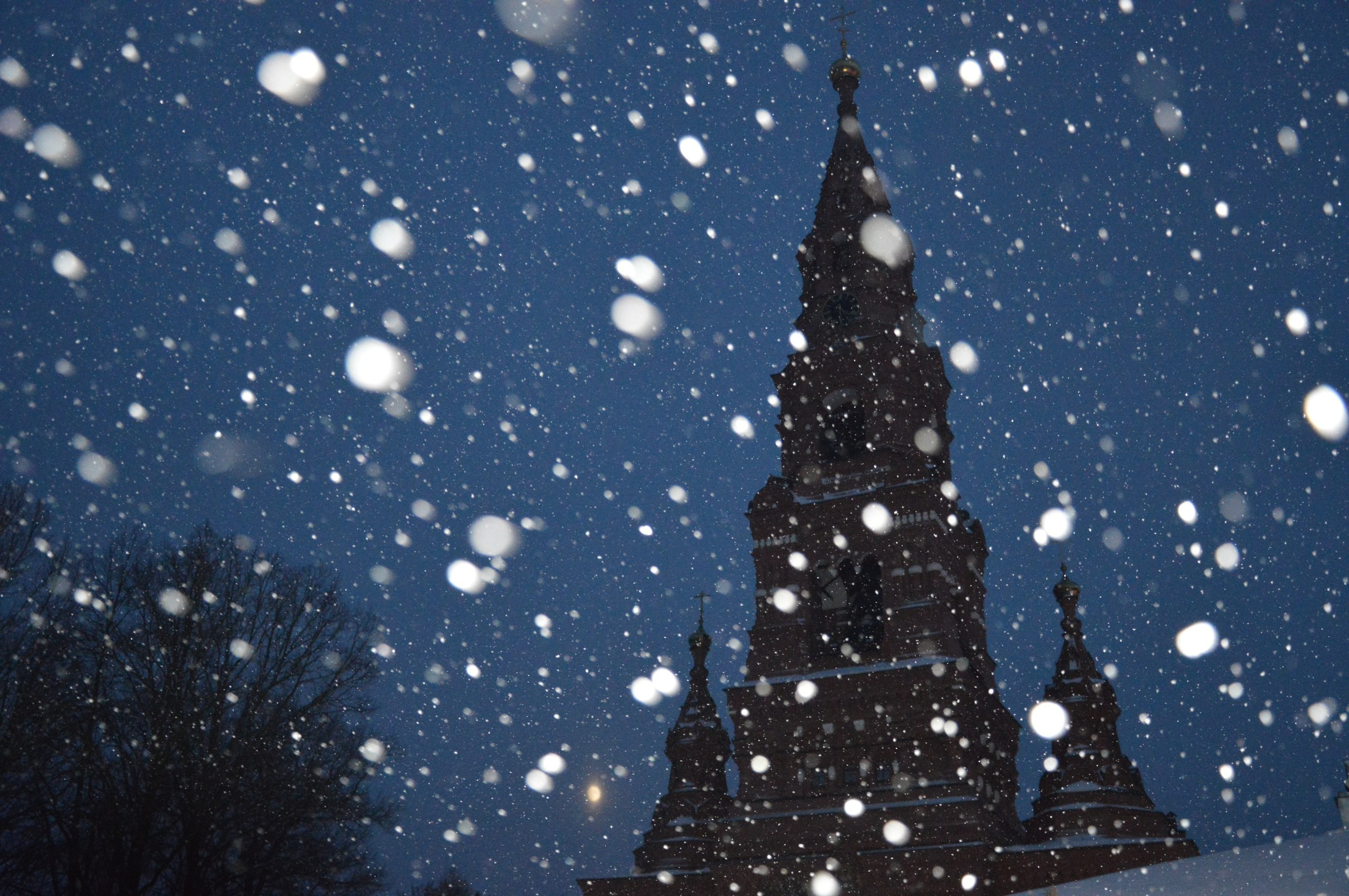 Сергиев Посад | 11.12.2016. Галерея Фантим