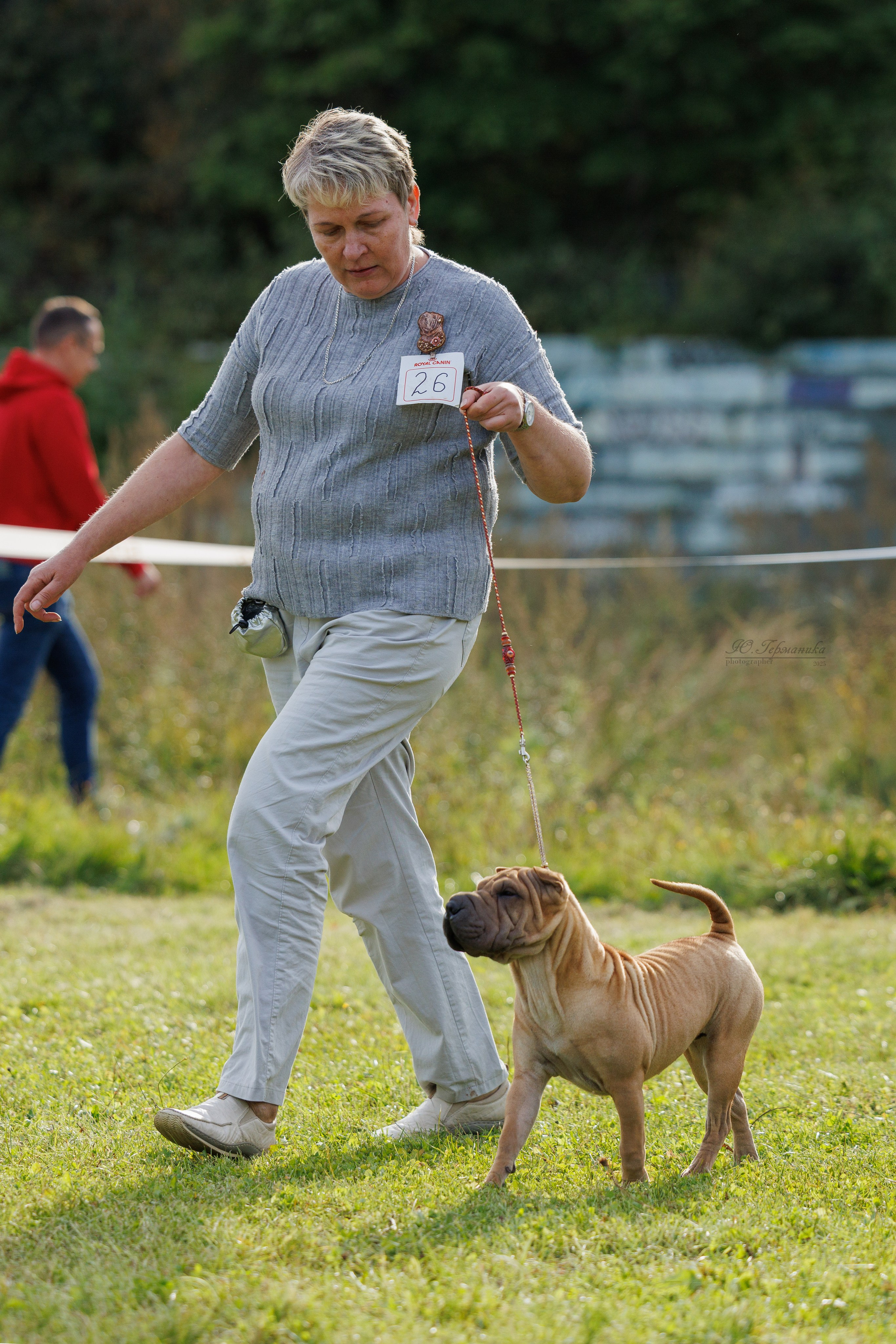 Зеленоград 13.09.2025. Фотограф-анималист Юлия Германика
