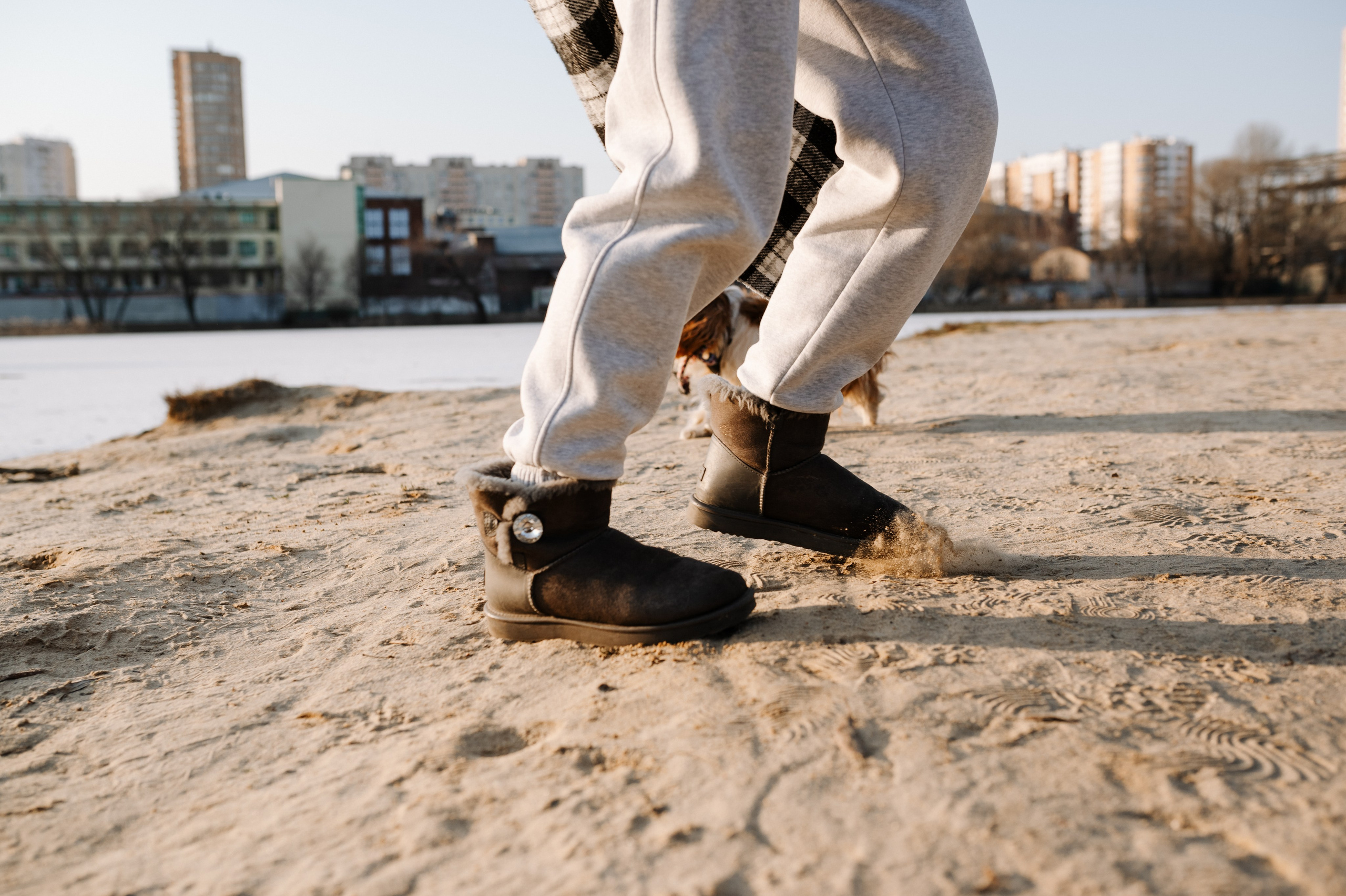 Лена и Арчи. Фотограф анималист в Москве Ольга Агушева