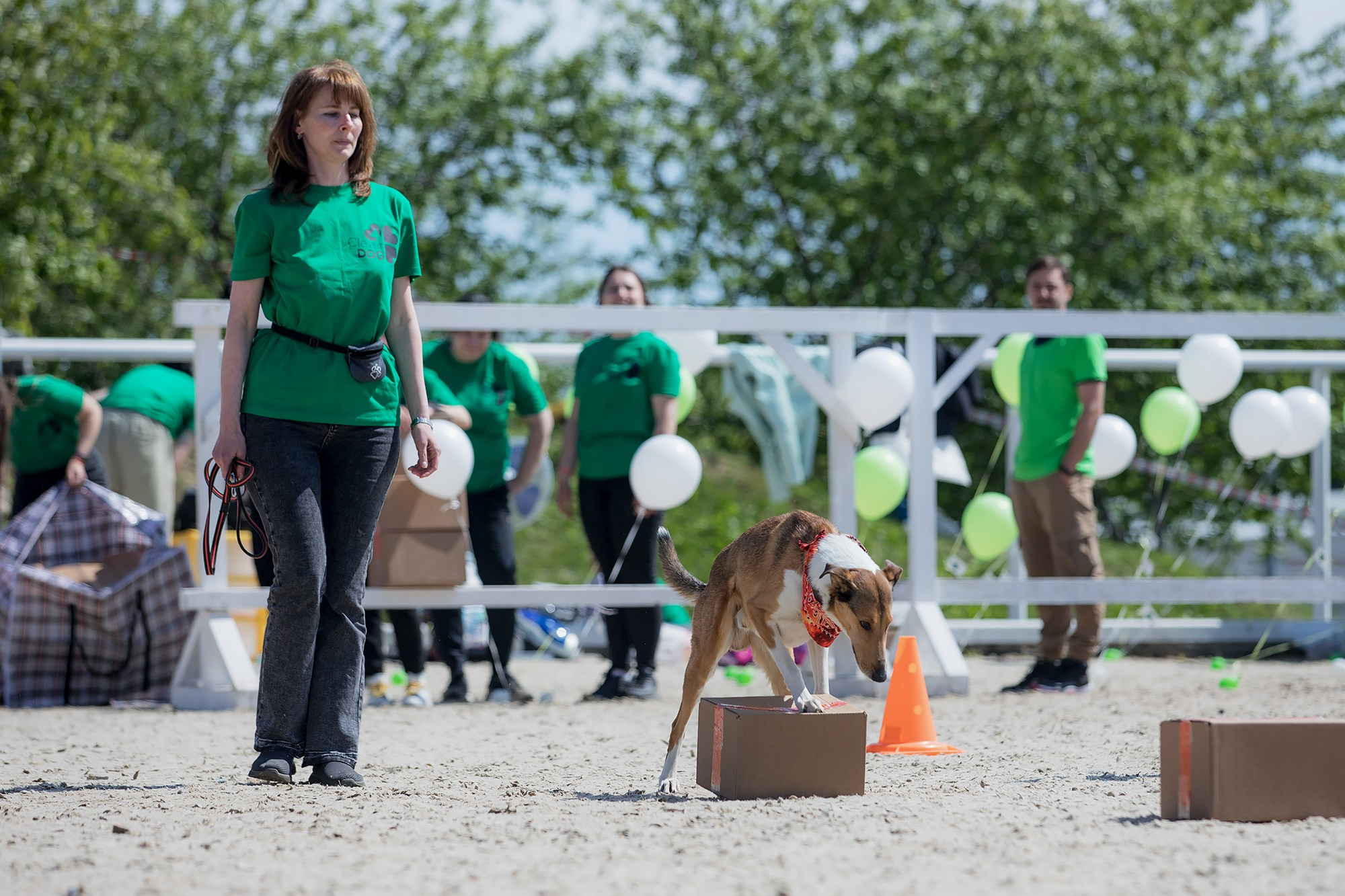 Показательные выступления по NoseWork на выставке «Россия». Фотограф-анималист Mary Mart — Москва, Питер