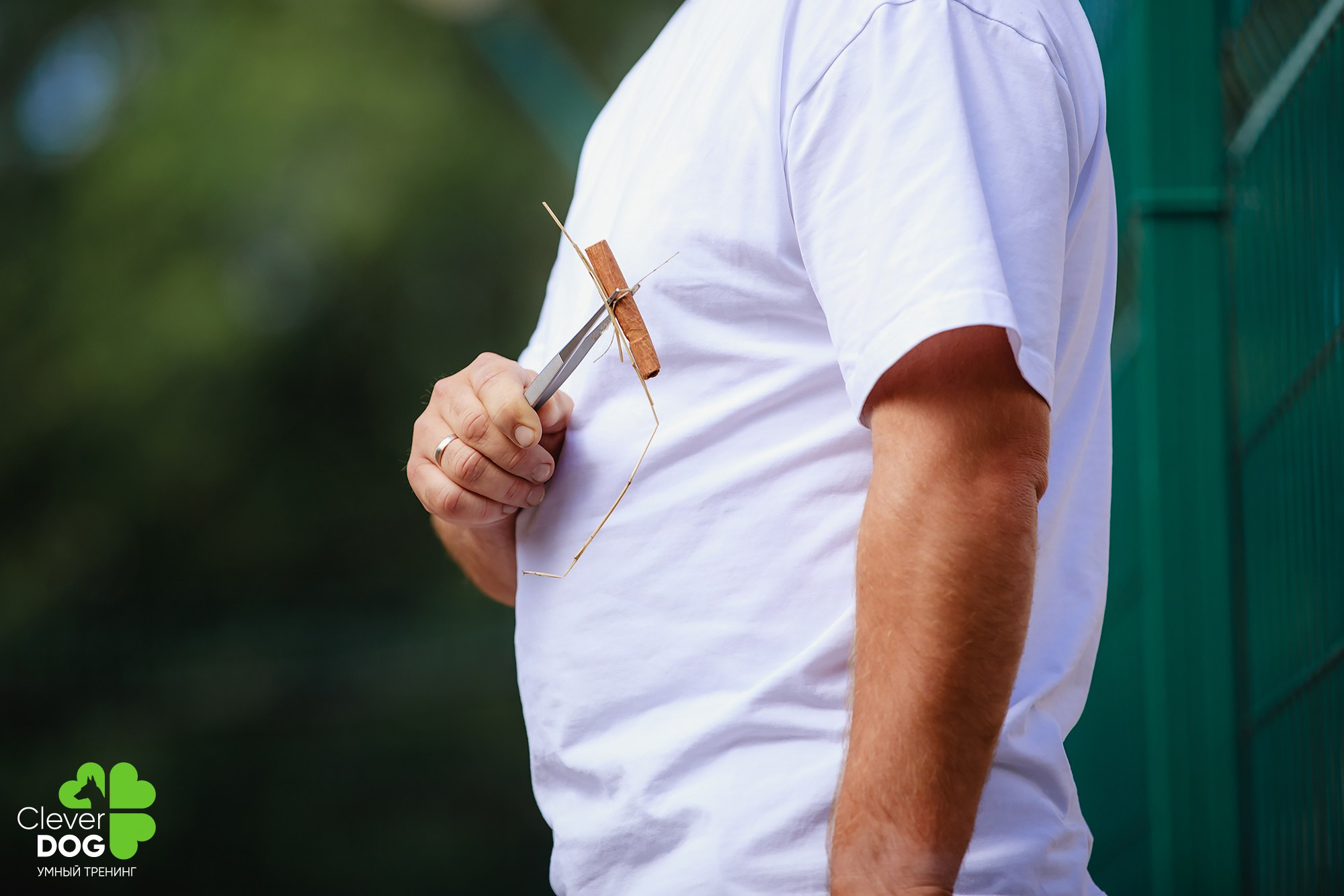 Семинар по поиску запаха с Иваном Ломовым, организатор CleverDog, СПб. Фотограф-анималист Mary Mart — Москва, Питер