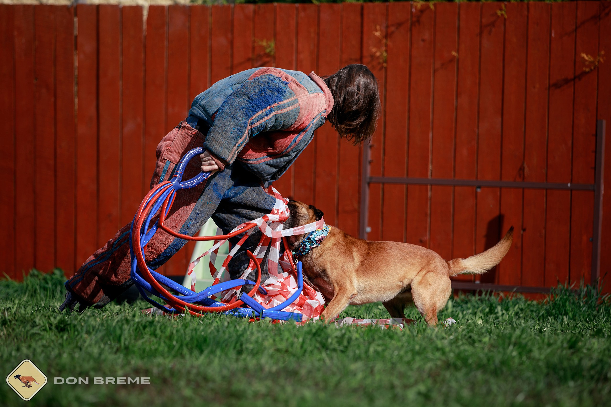 Семинар для фигурантов, день 2. Фотограф-анималист Mary Mart — Москва, Питер