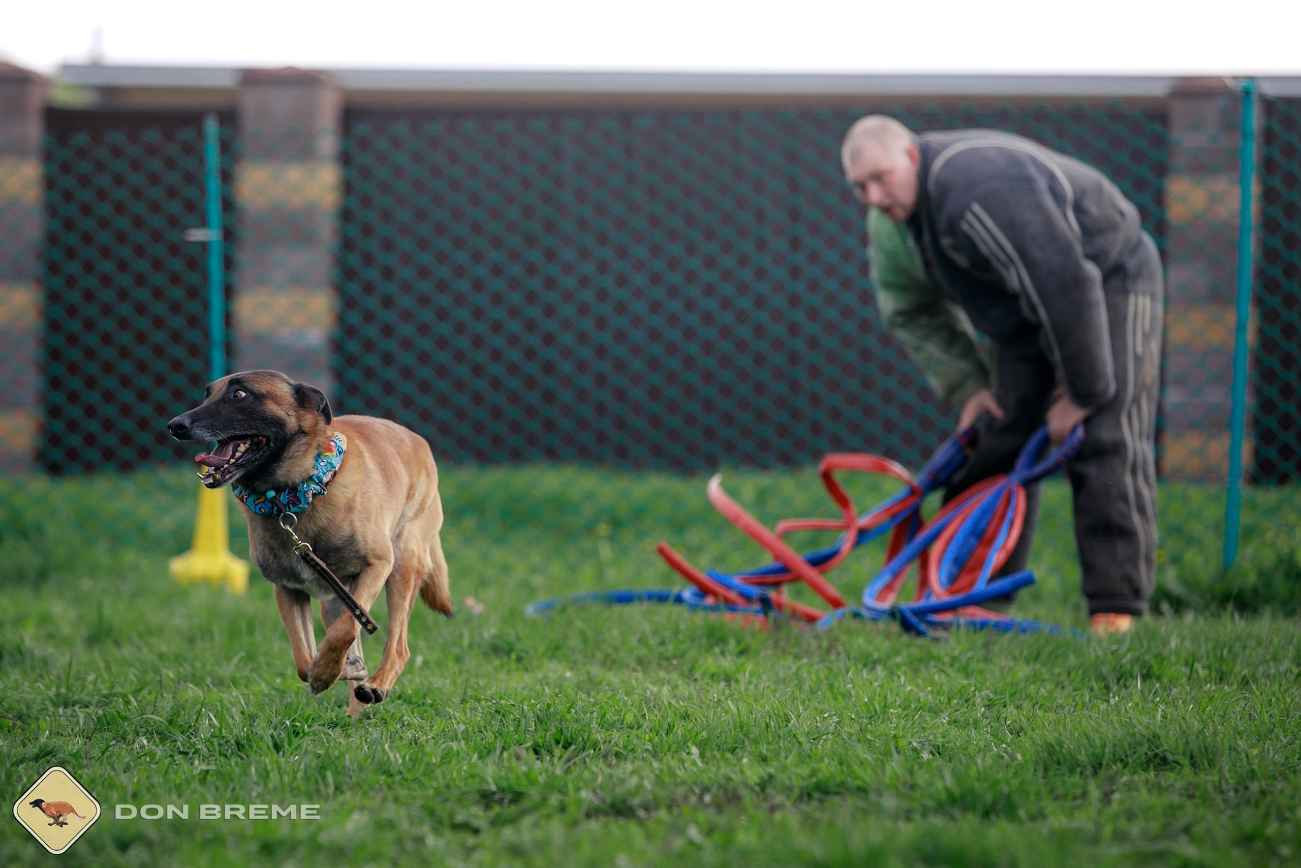 Семинар для фигурантов, день 2. Фотограф-анималист Mary Mart — Москва, Питер