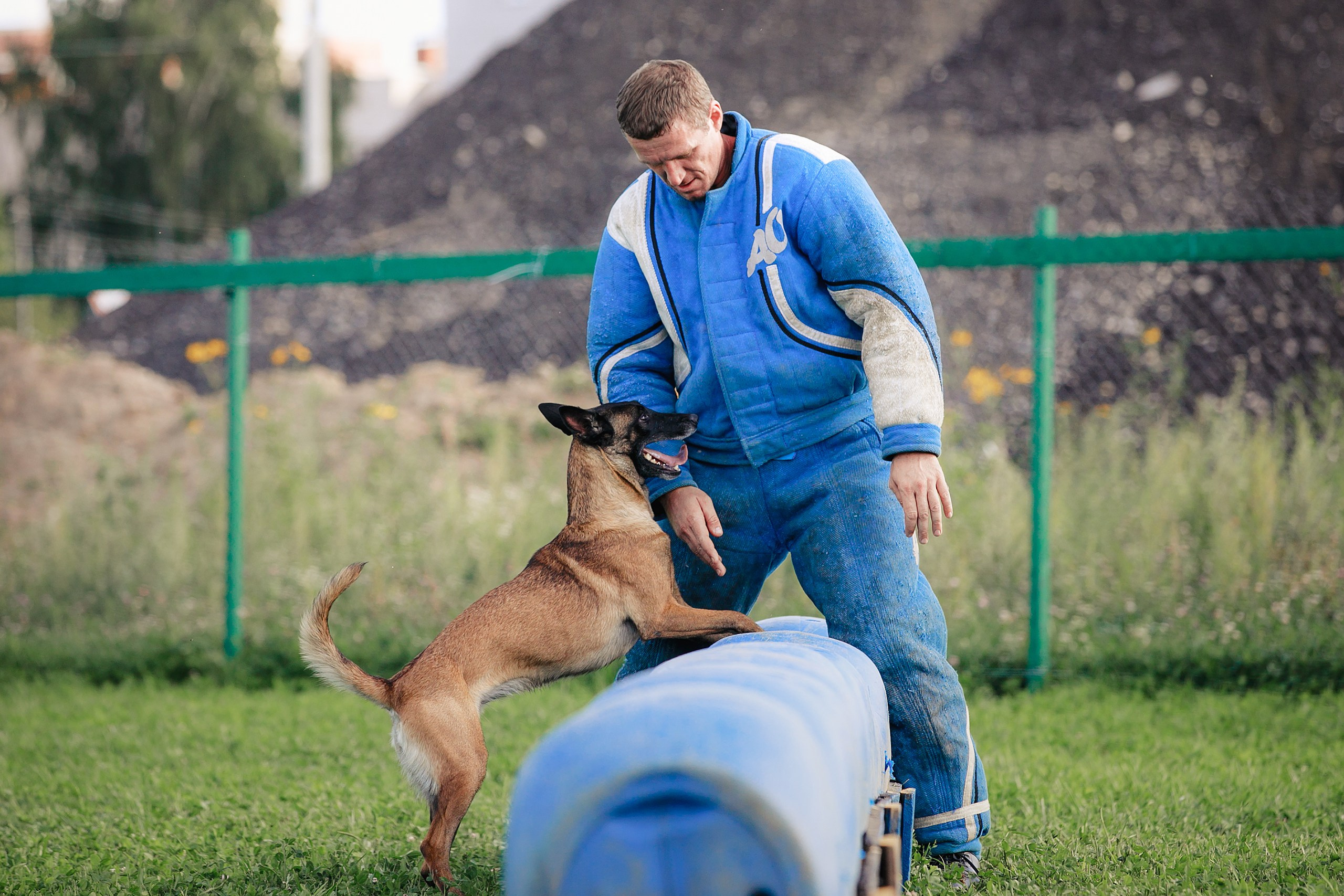 Мондьоринг М1, М2, М3, Вологда. Фотограф-анималист Mary Mart — Москва, Питер