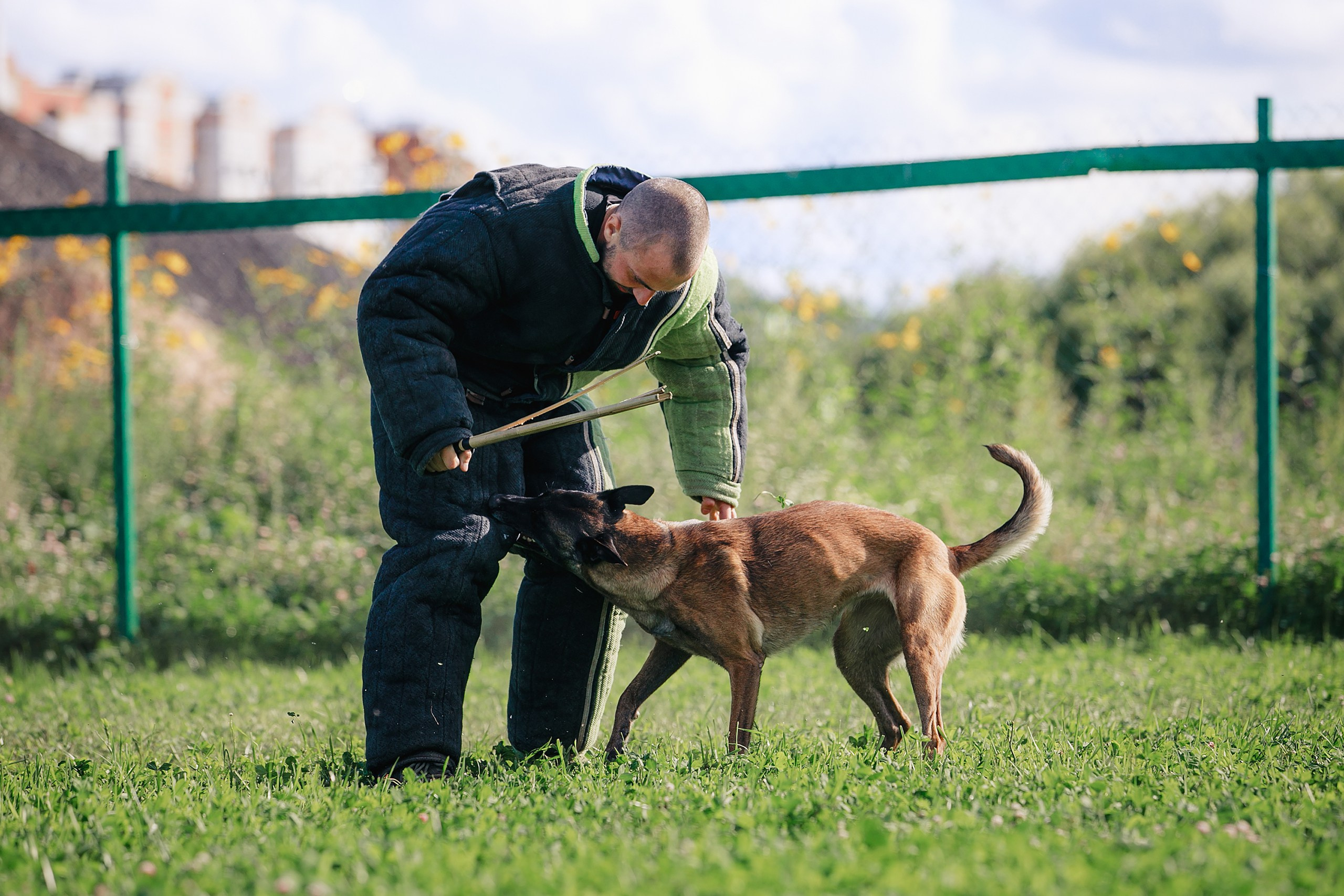 Мондьоринг М1, М2, М3, Вологда. Фотограф-анималист Mary Mart — Москва, Питер