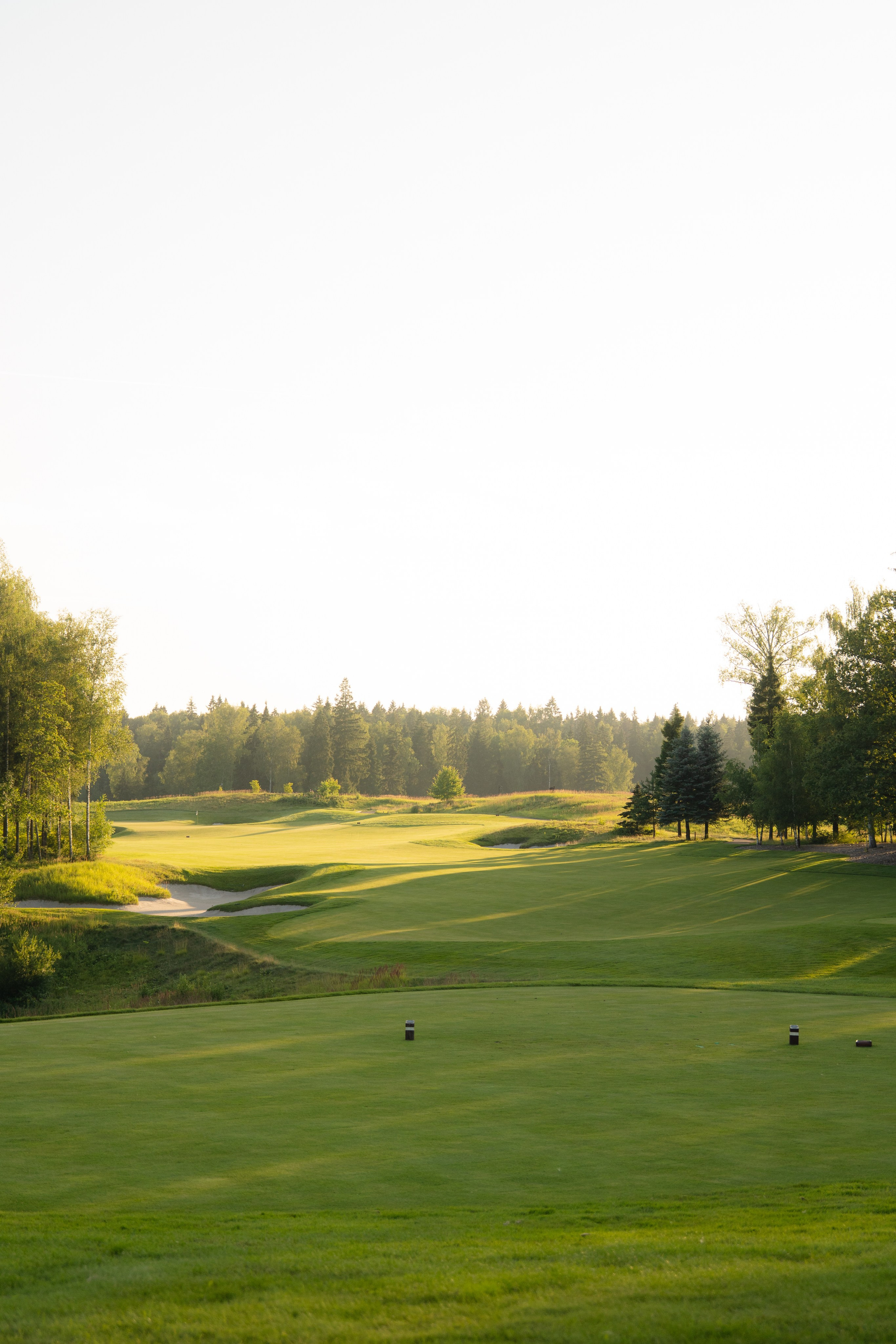 Лада & Денис. Фотограф Наталья Воронина Москва