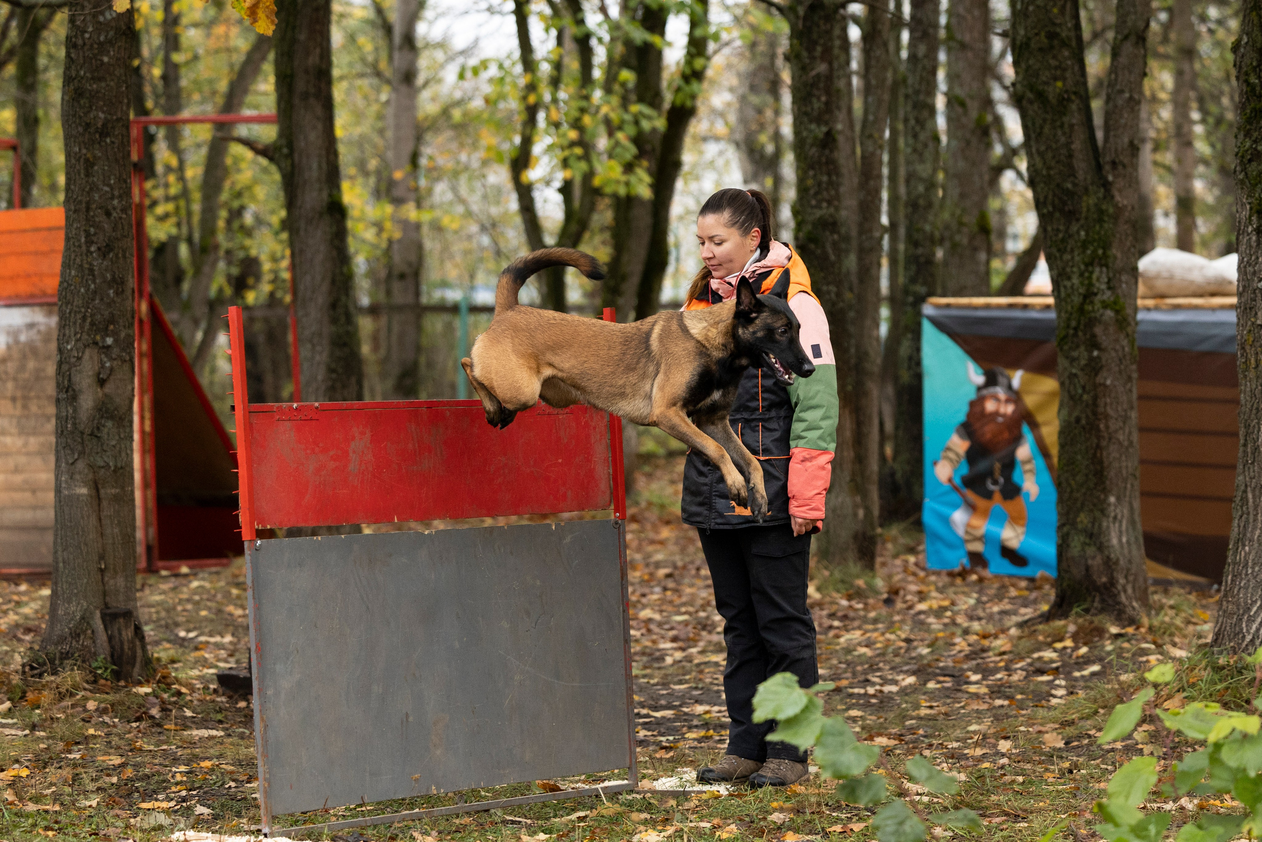 Соревнования по Мондьорингу г. Вологда. Фотограф-анималист Анна Маринич