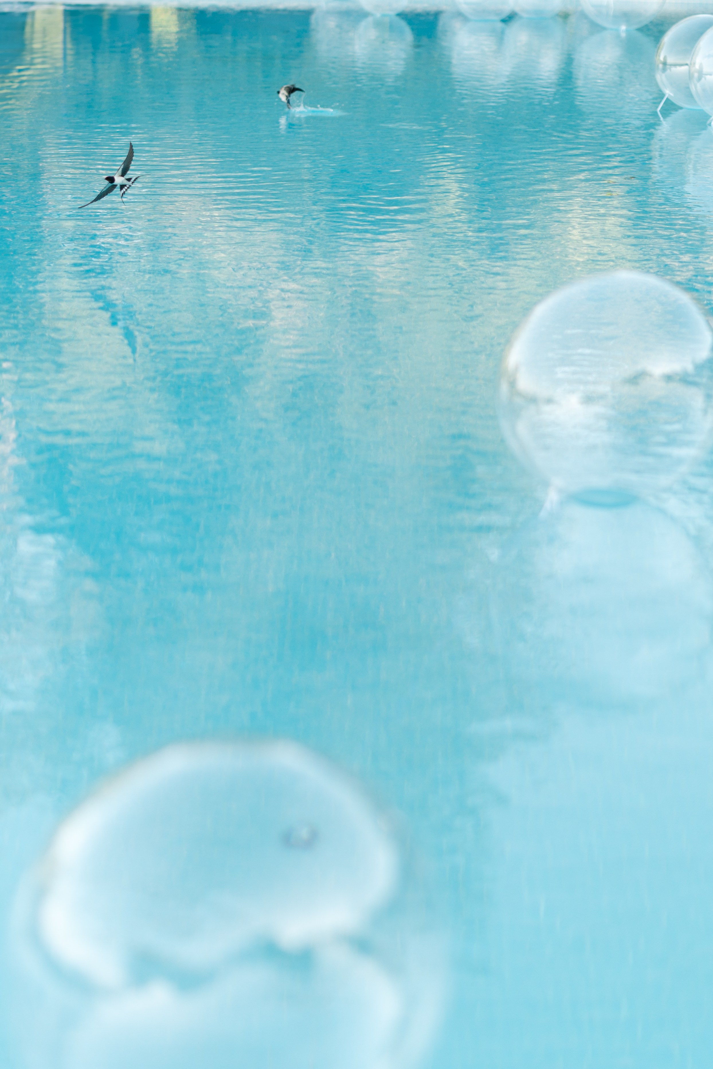 Хупа. Свадебный фотограф Москва Мотеюнайте Виктория