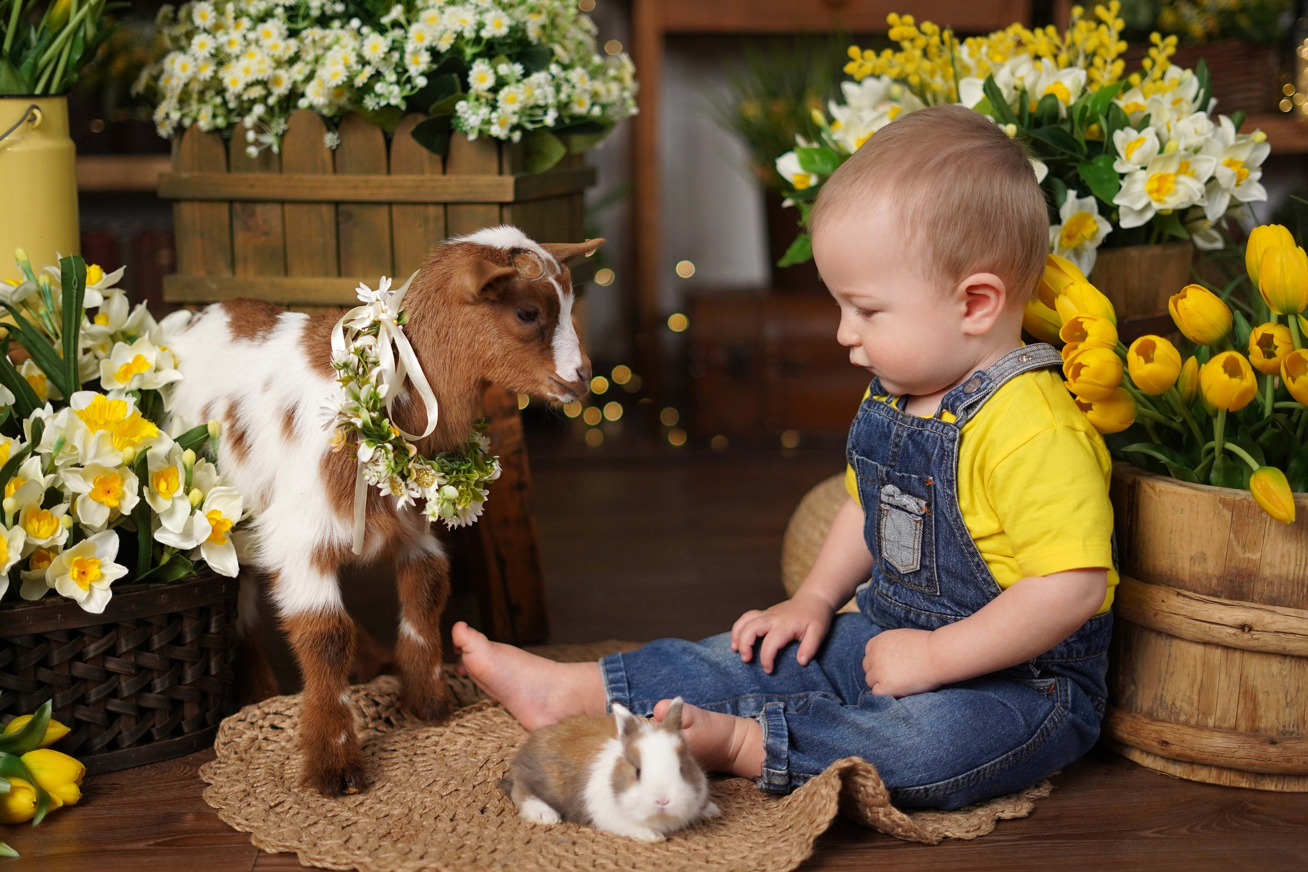 Фотостудия «Антураж» г. Краснодар