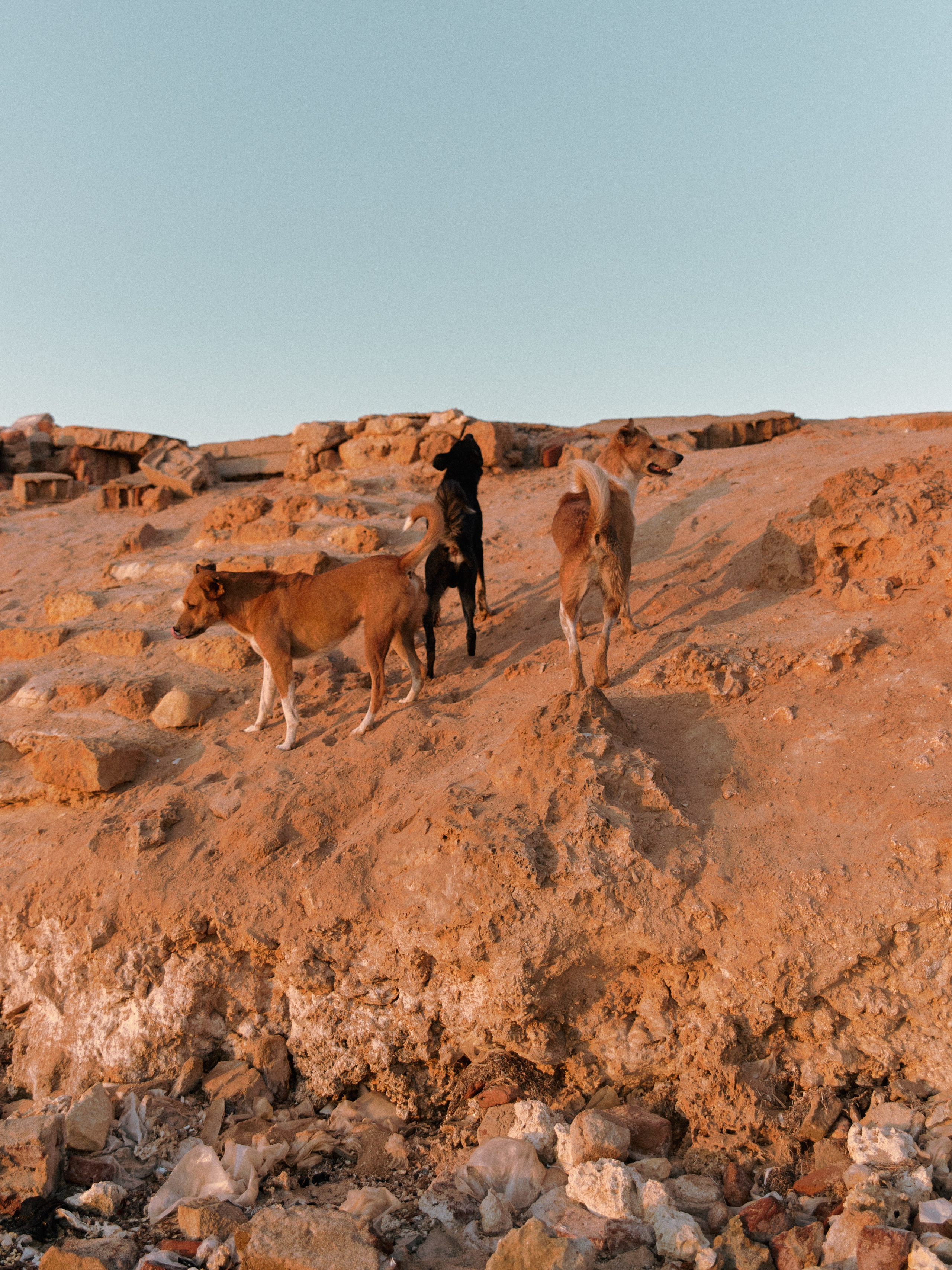 Диптих. Jorgis — фотограф в Хургаде / обучение фотографии