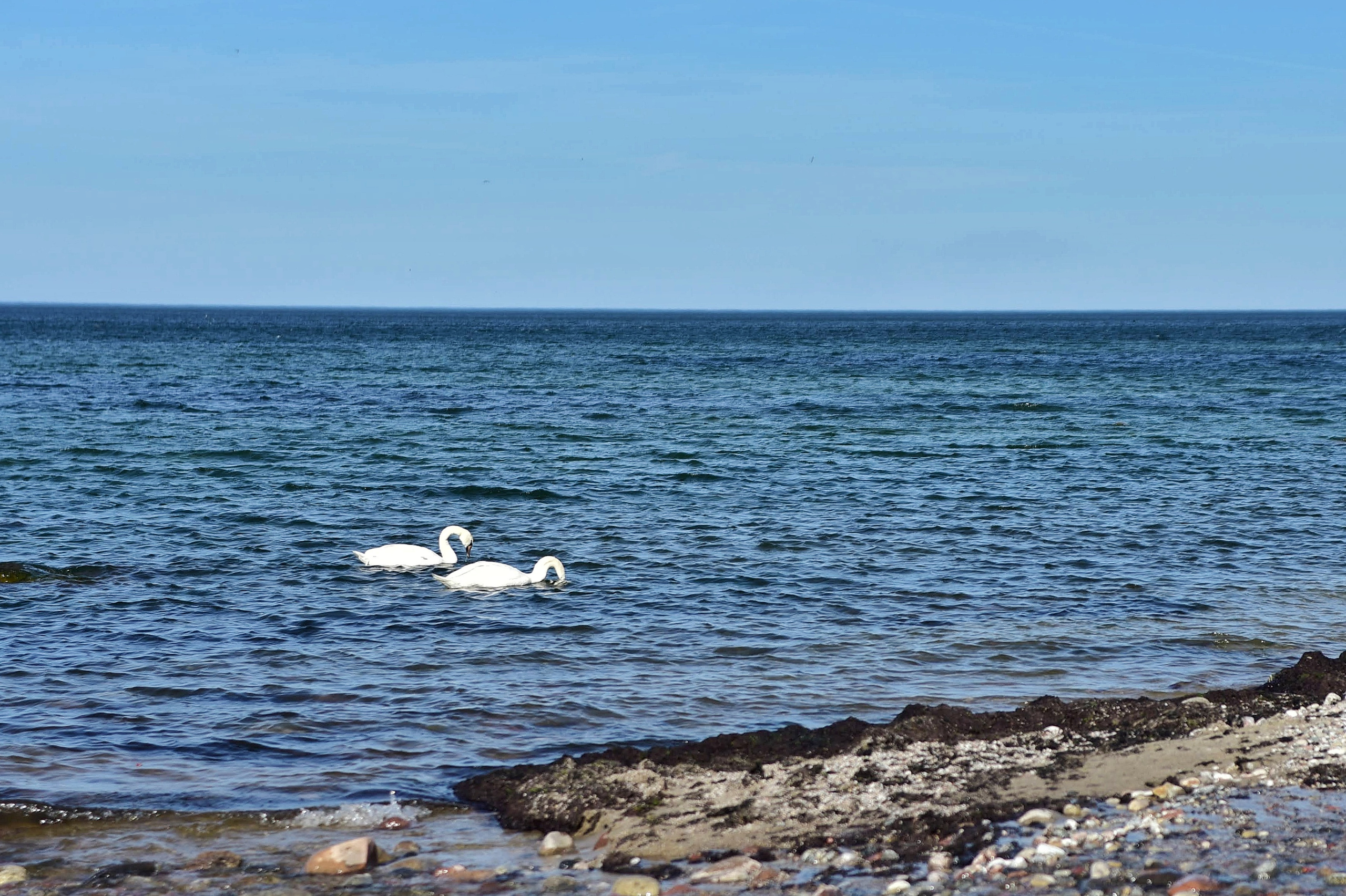 Балтийское море. Зима-весна 2021. То ещё портфолио