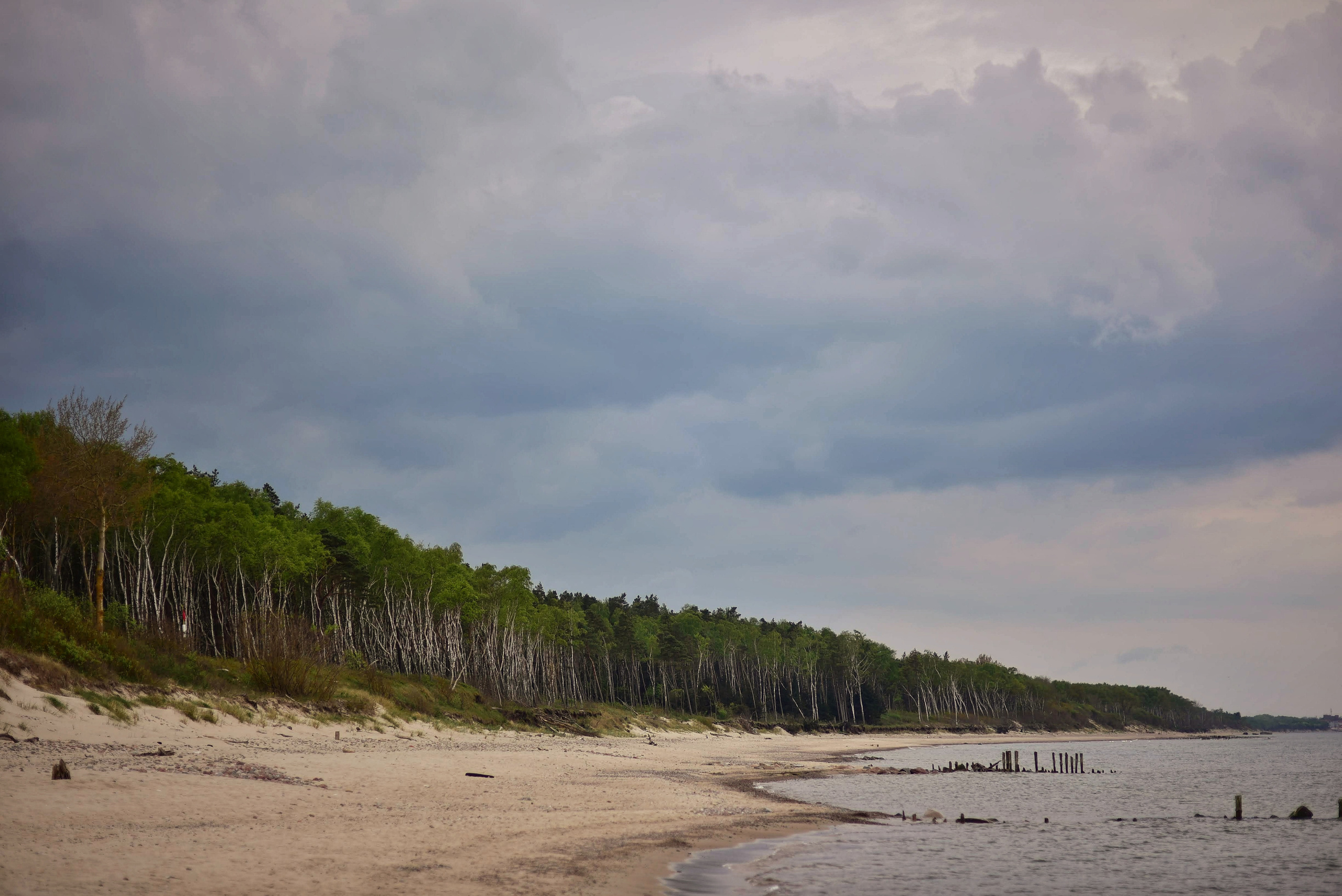 Балтийское море. Зима-весна 2021. То ещё портфолио