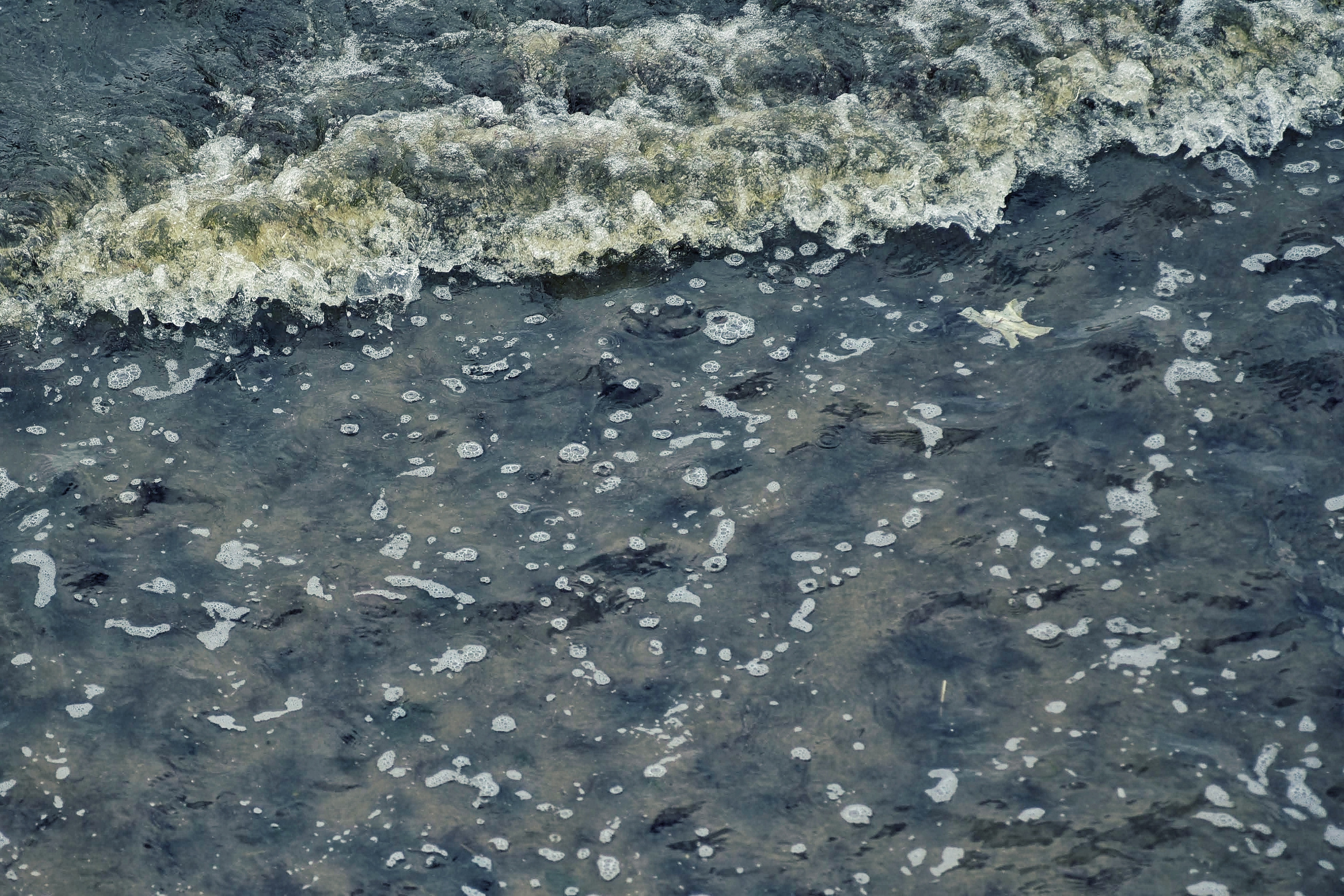 Балтийское море. Зима-весна 2021. То ещё портфолио