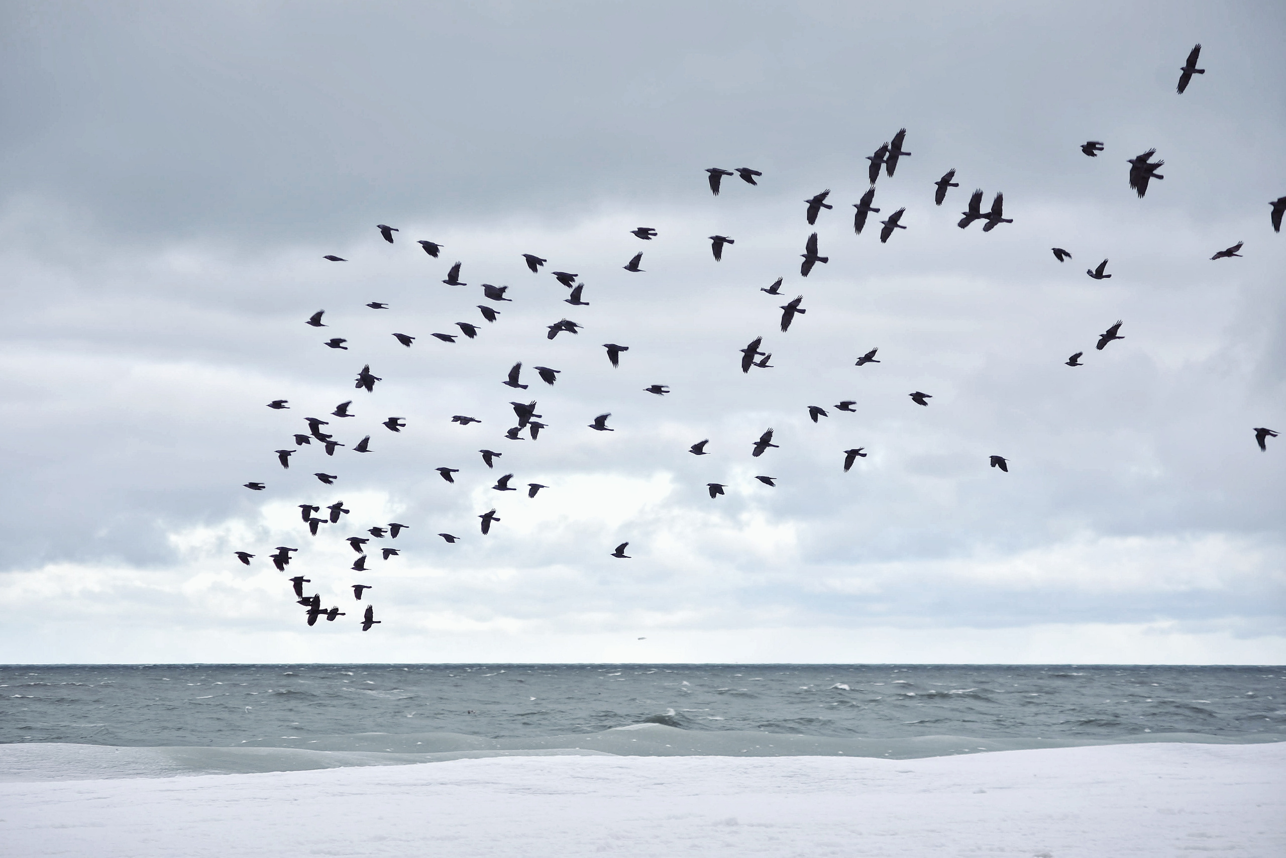 Балтийское море. Зима-весна 2021. То ещё портфолио