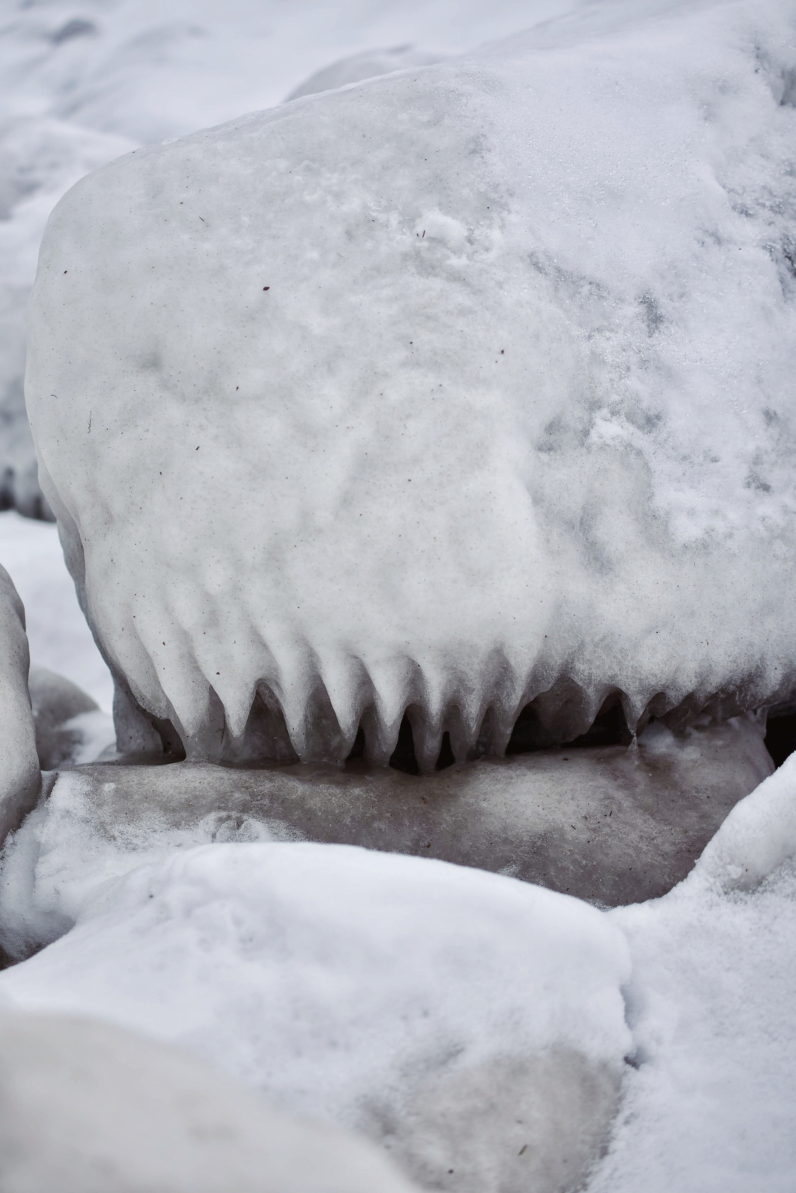 Балтийское море. Зима-весна 2021. То ещё портфолио